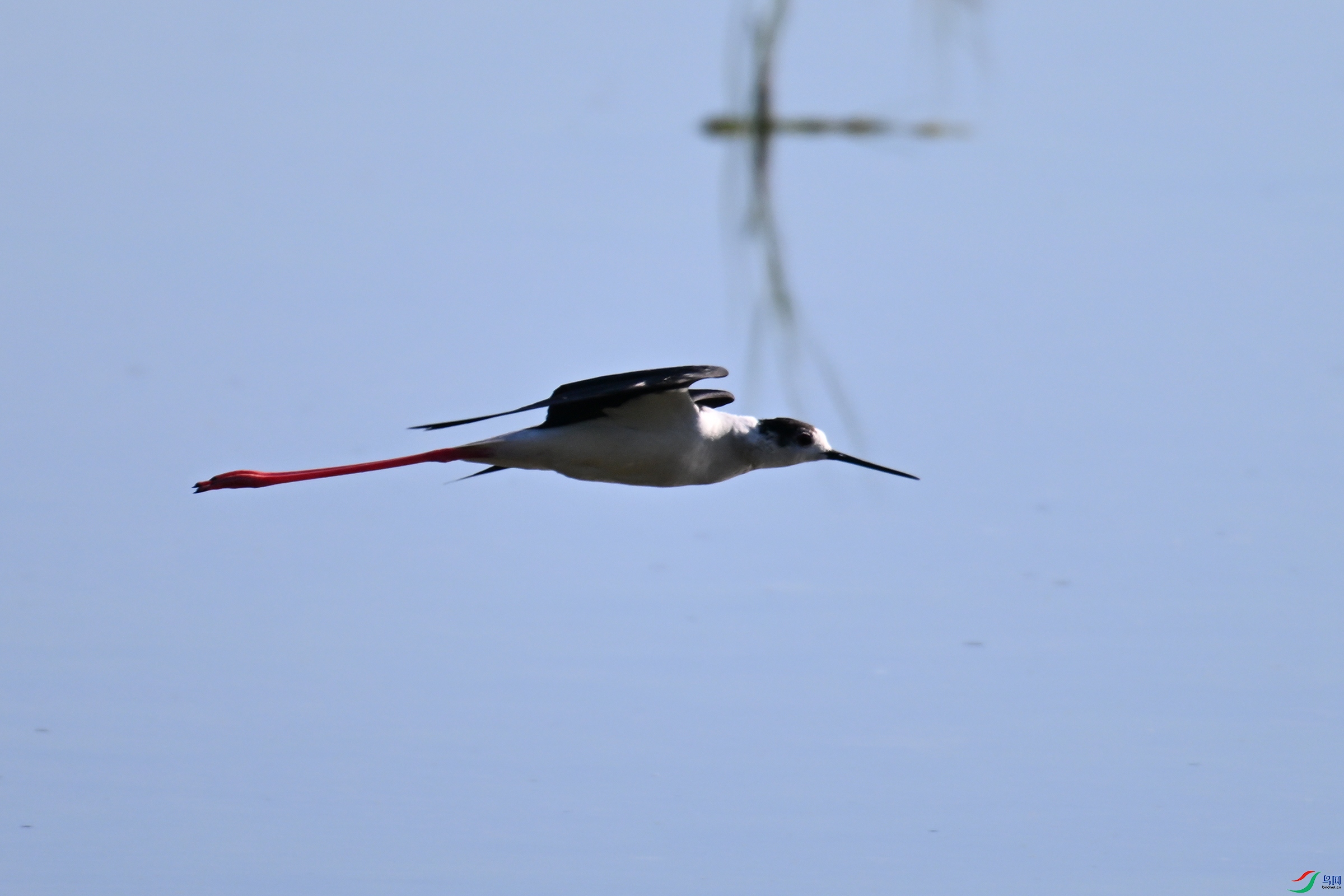 DSC_1718.JPG