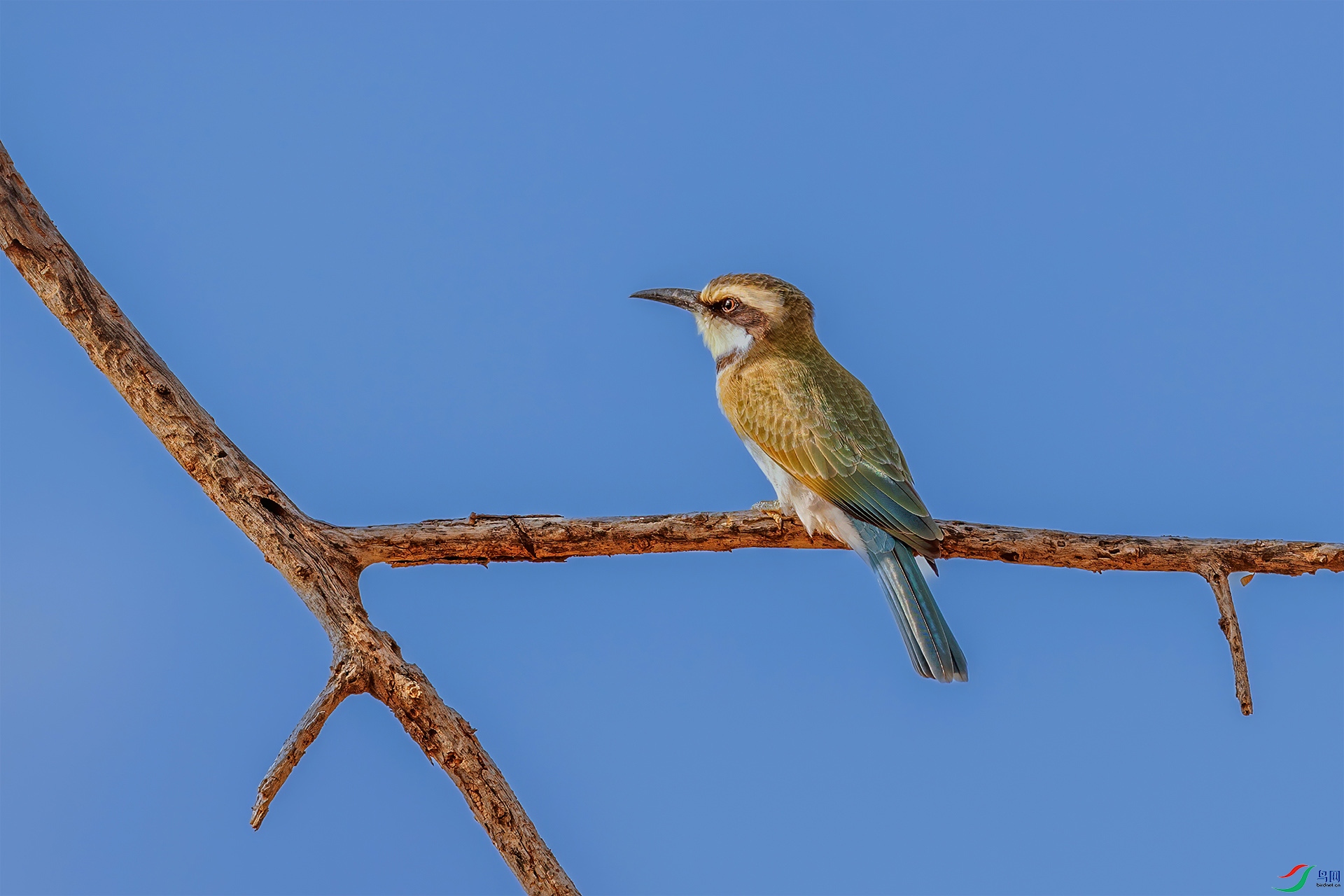 256A7735 ����.jpg