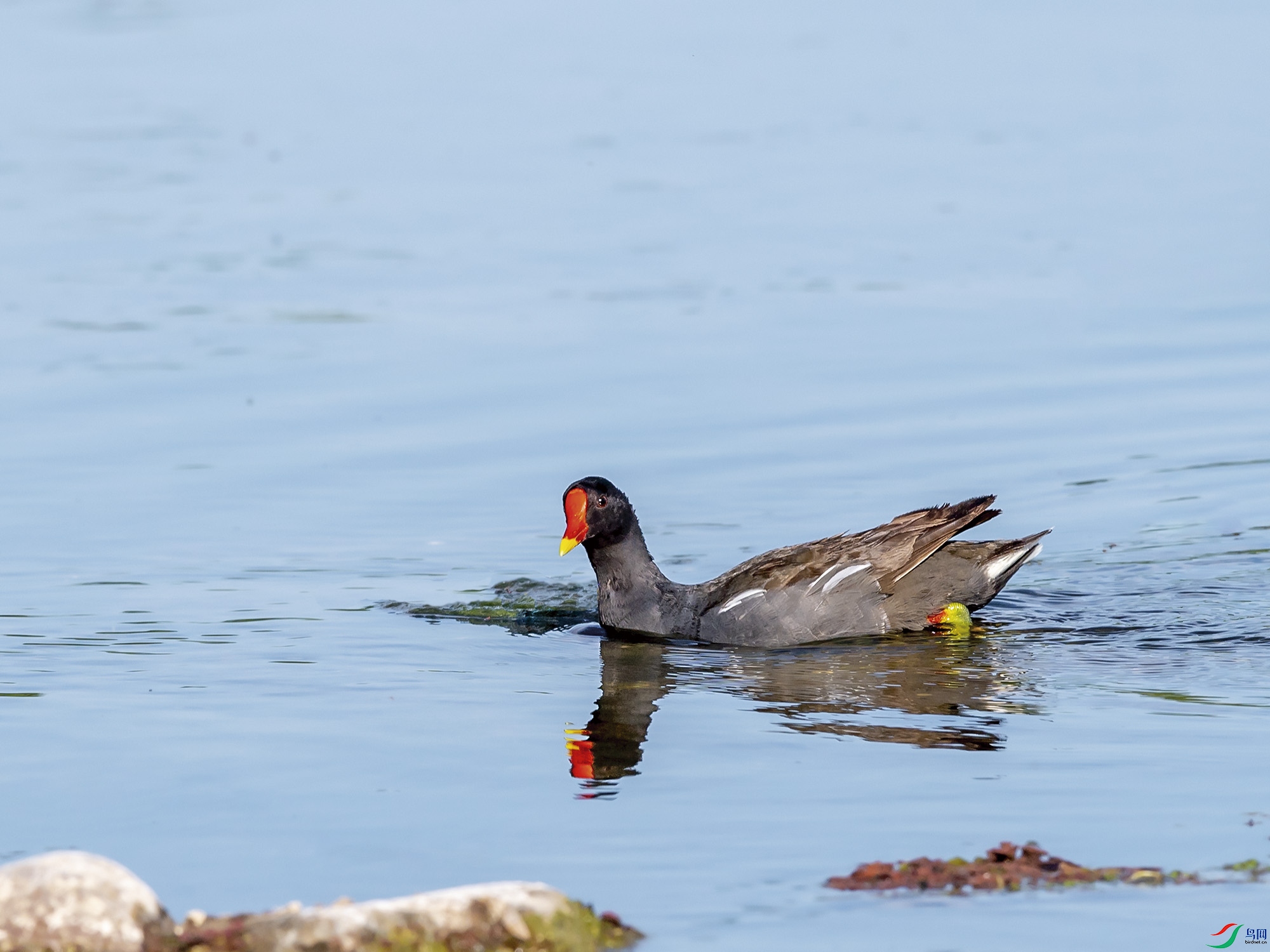 DSC_5526.jpg