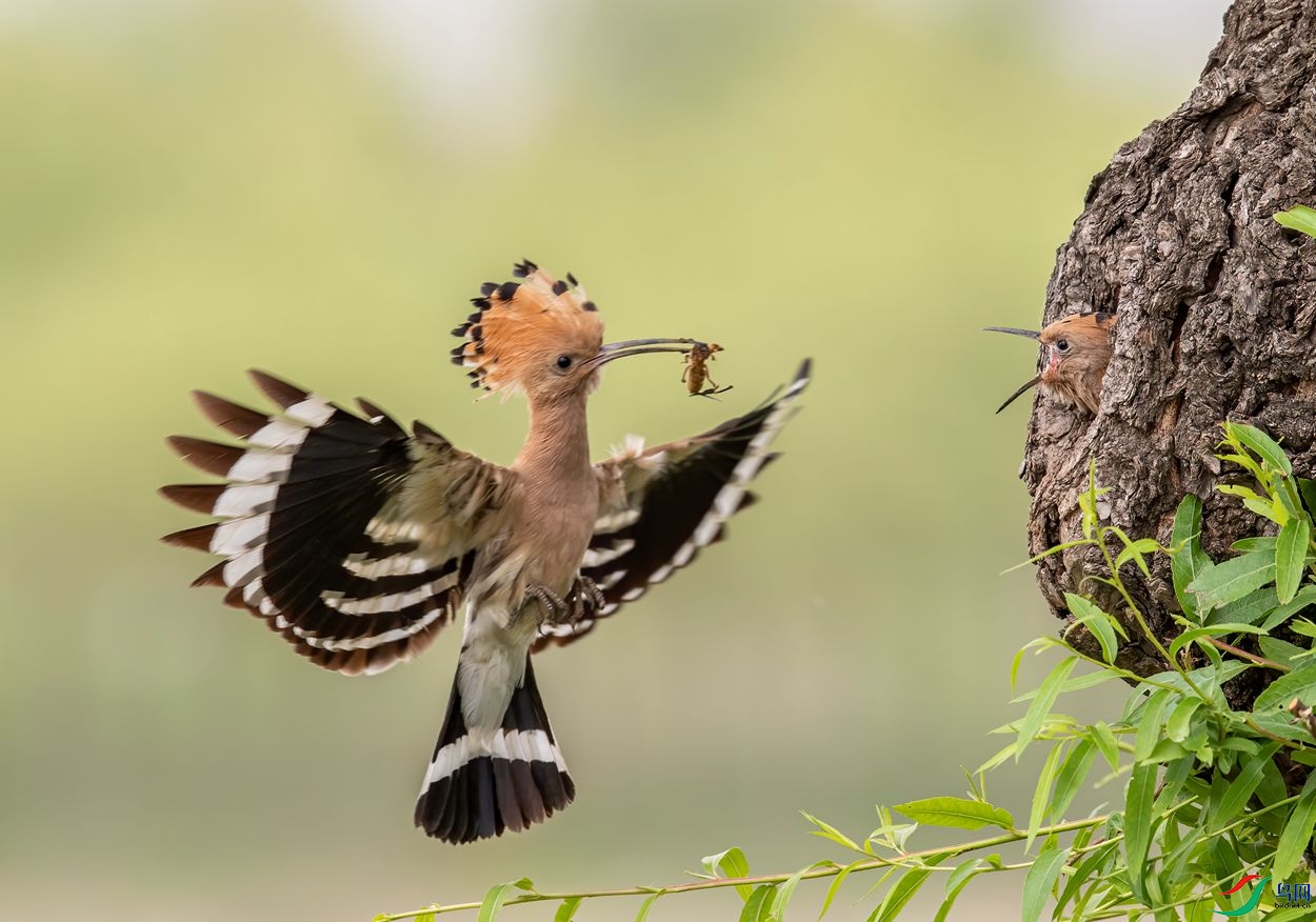 AC3I1281 ����_����.jpg