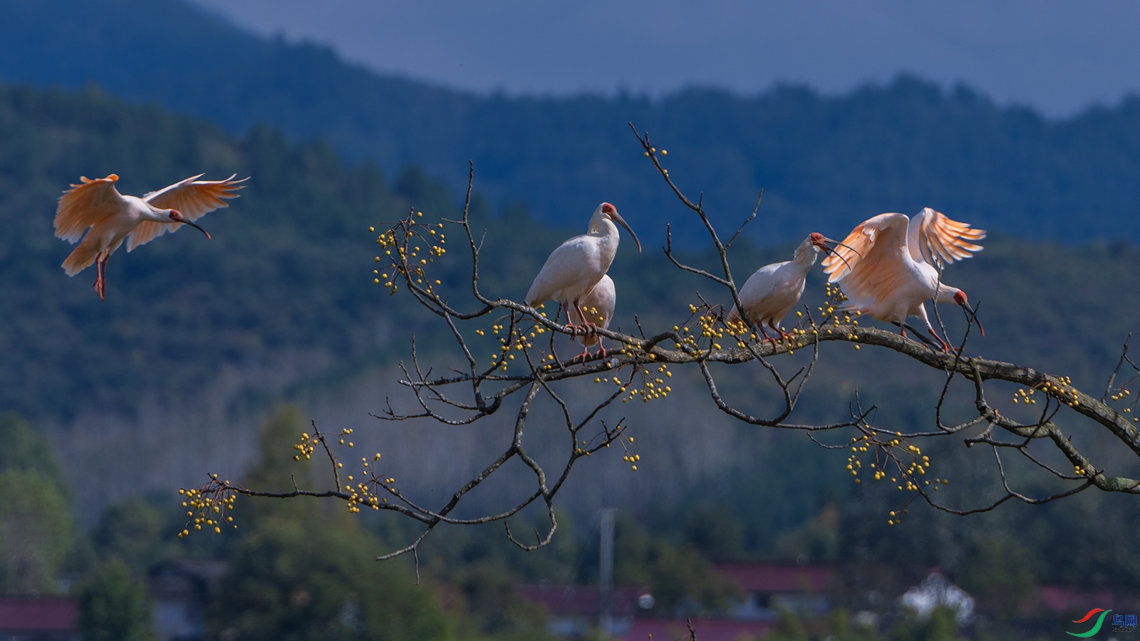 _DSC5256 ����.jpg