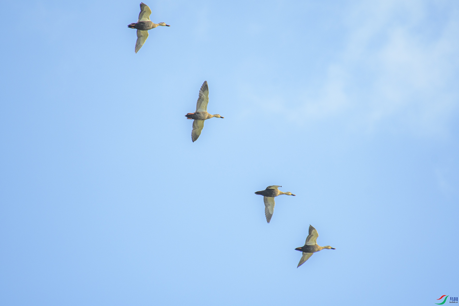 DSC_3759 0.jpg