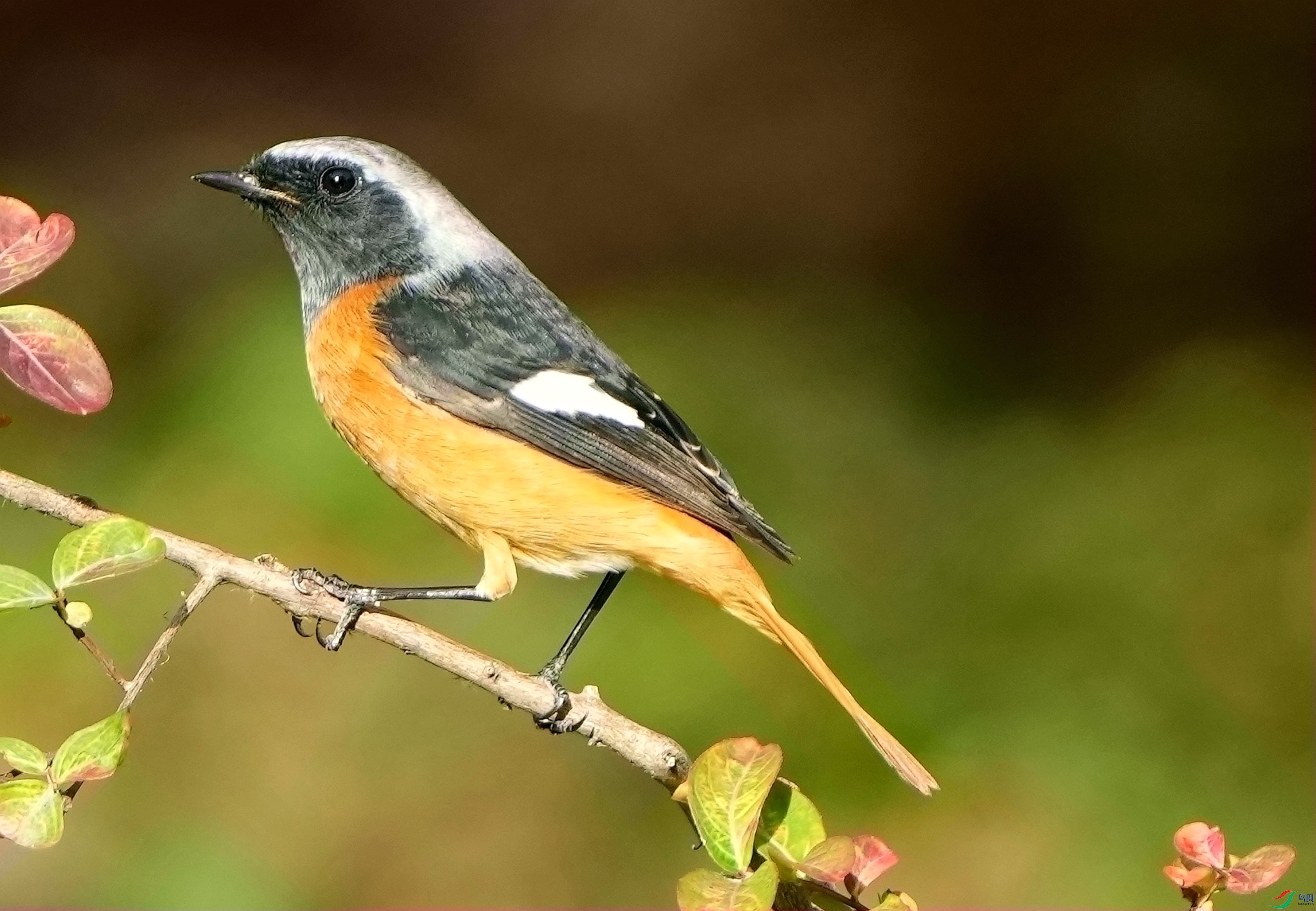 ����β��׼��DSC07869_����.jpg
