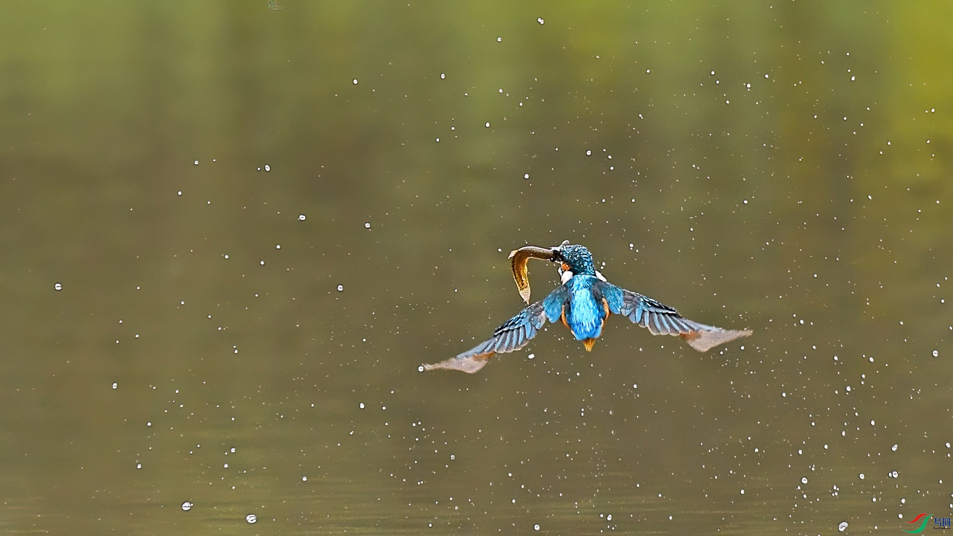 DSC_4123 ����-2.jpg