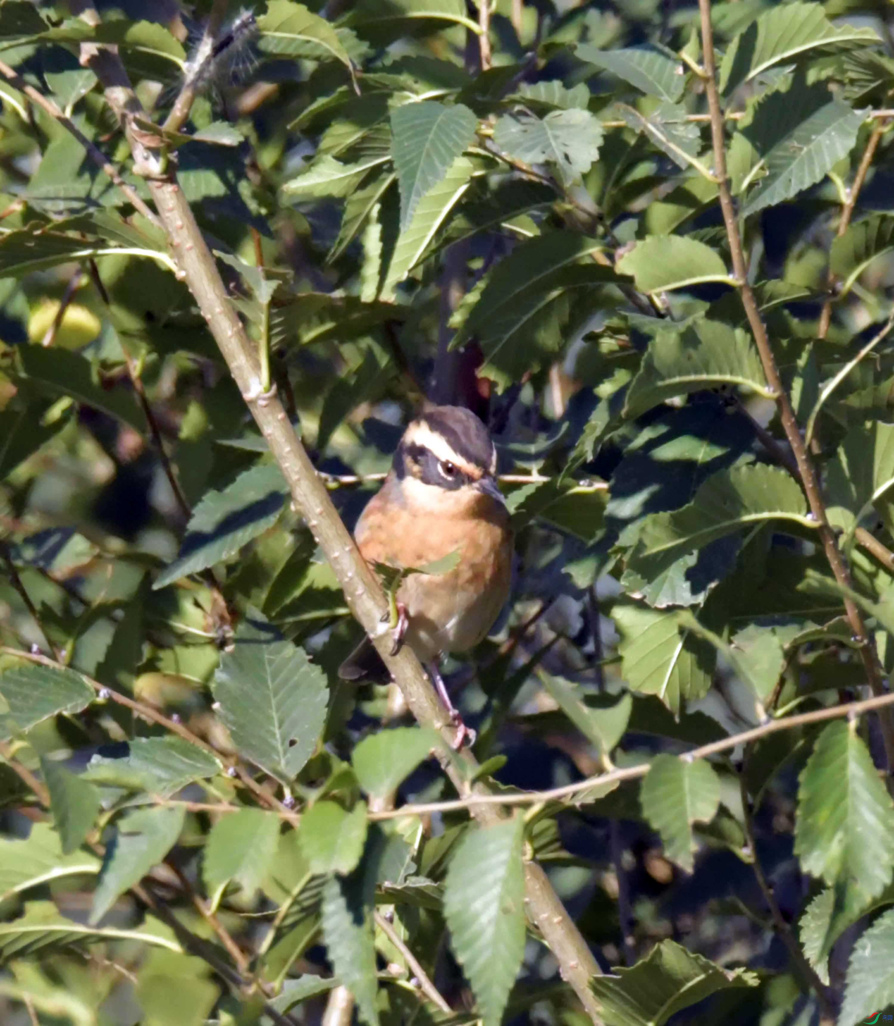DSC_3946.JPG