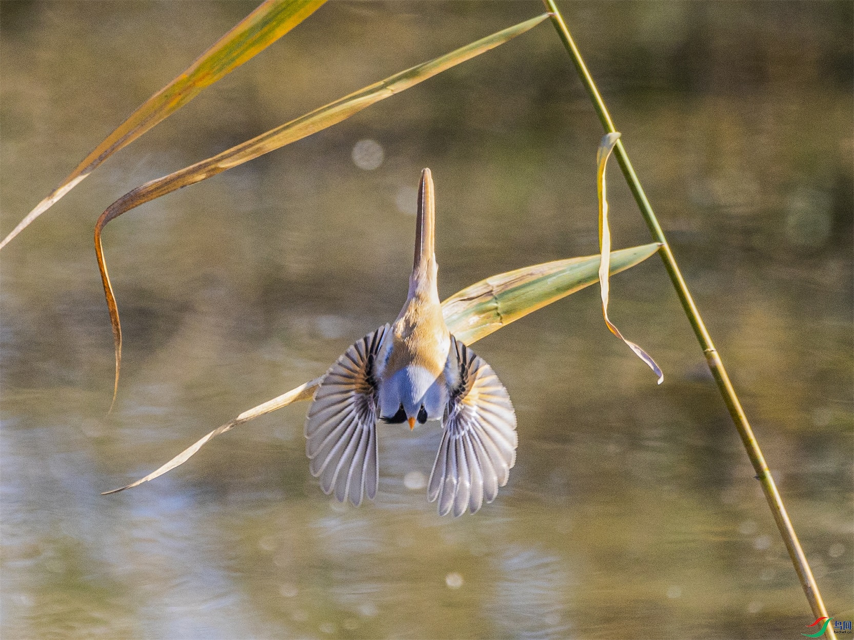 1K3A5561 ����1.jpg