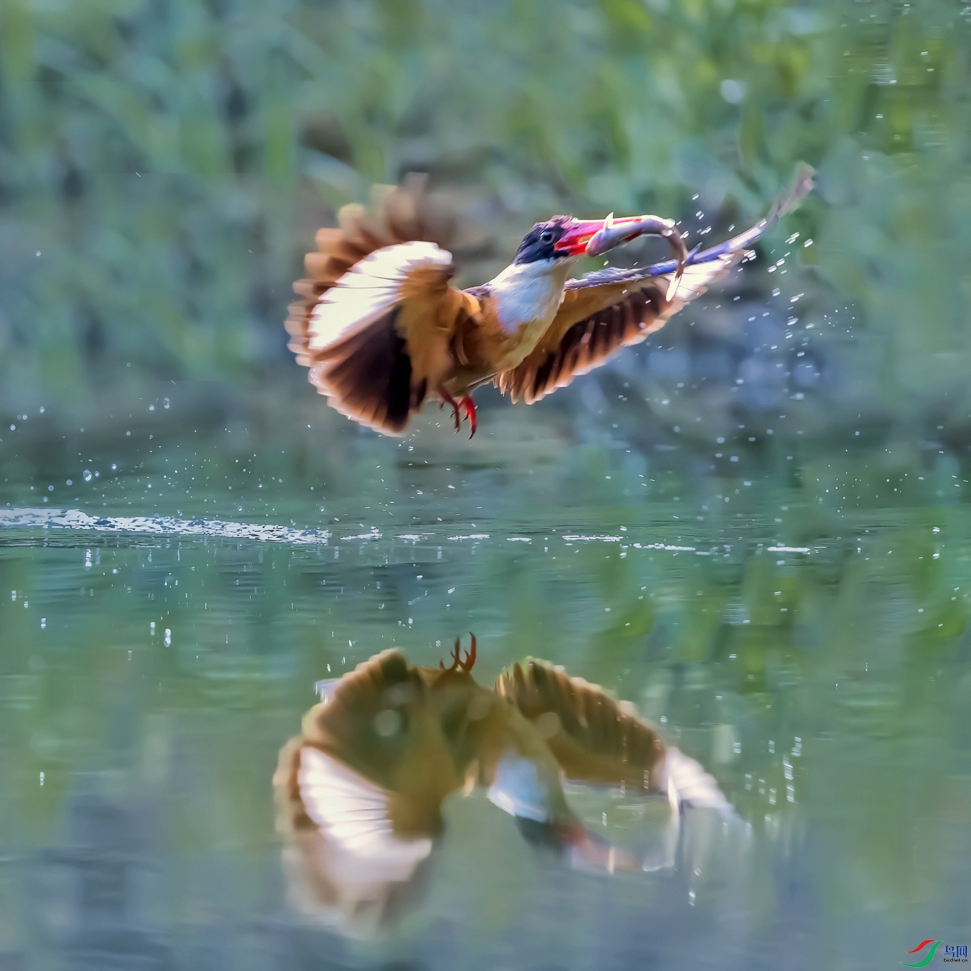 �������----Ӫ�����