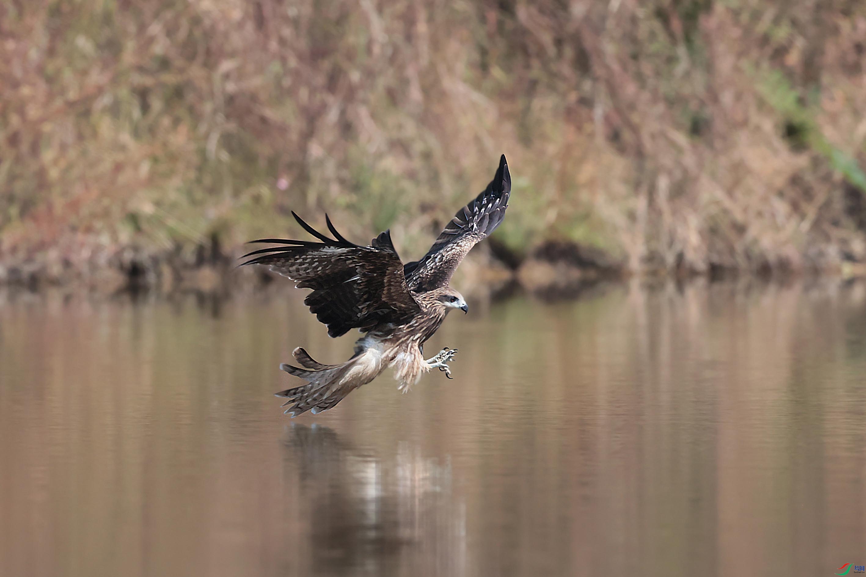 �ڶ�𰲶ʳ4 - ����.jpg