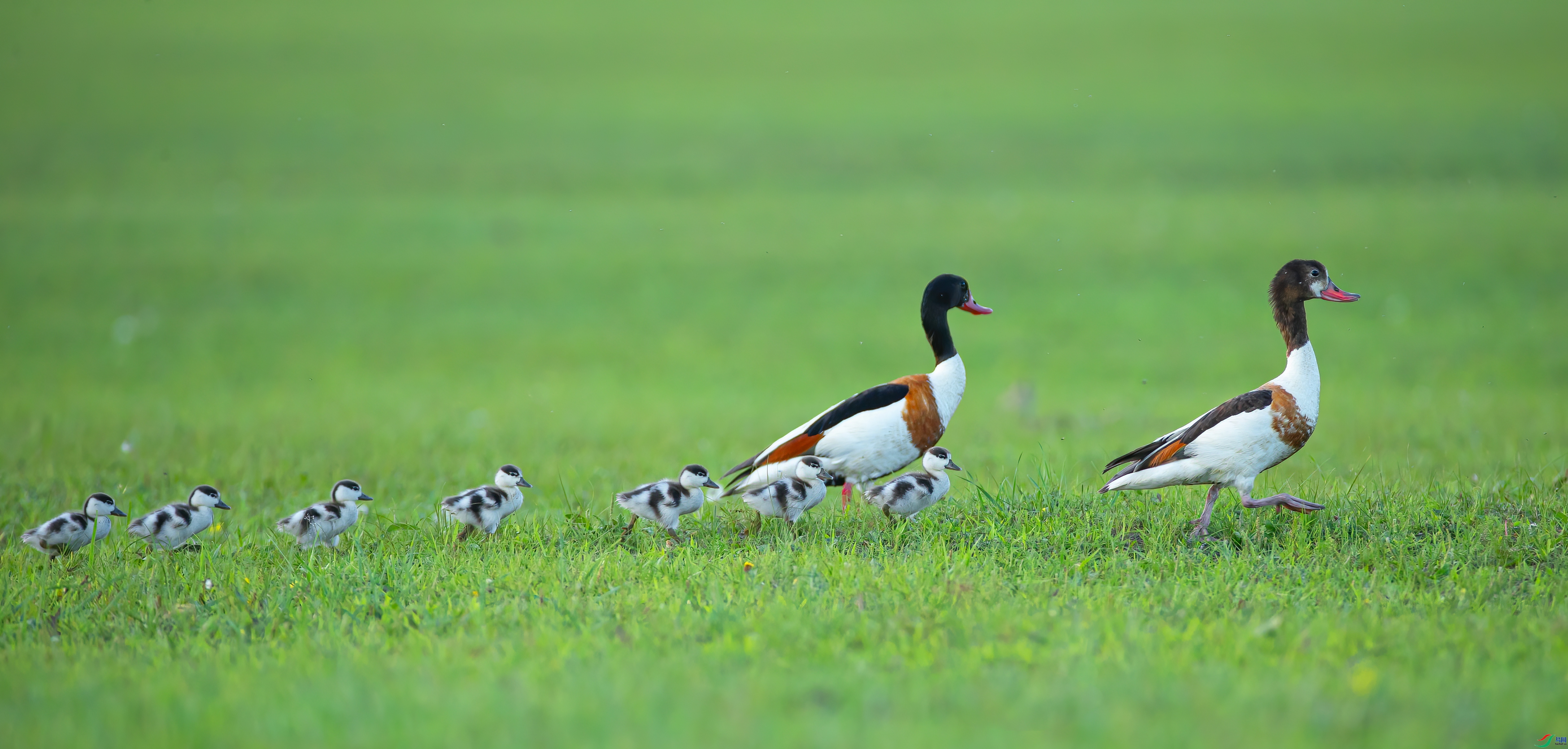 ÿ�ռ���  �Ҹ�һ��  ���� �ܷ�  ����.jpg