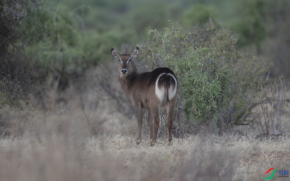 ��ˮ�� (6).jpg