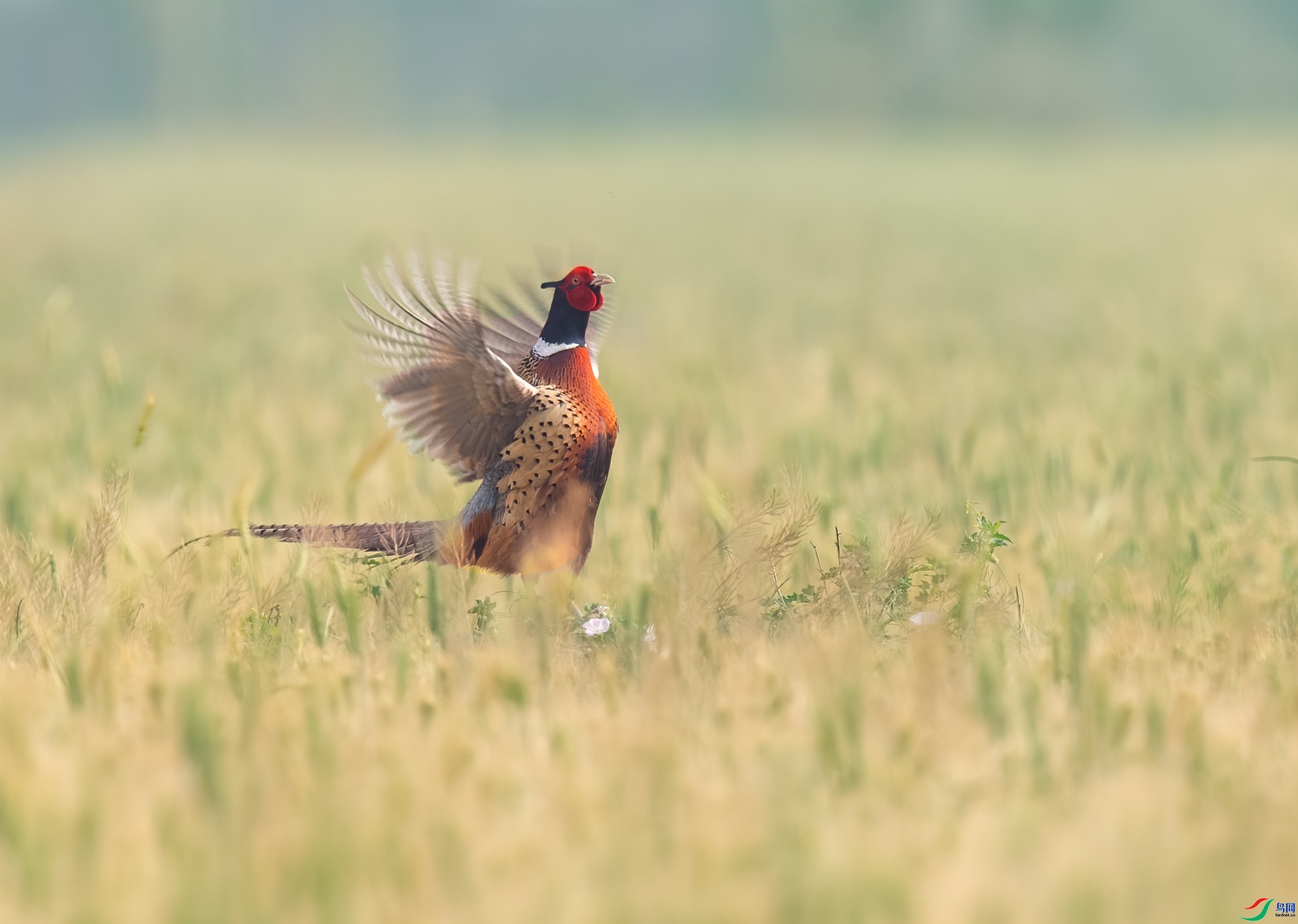 ϣ������Ұ ���� һ·����  ��һ.jpg