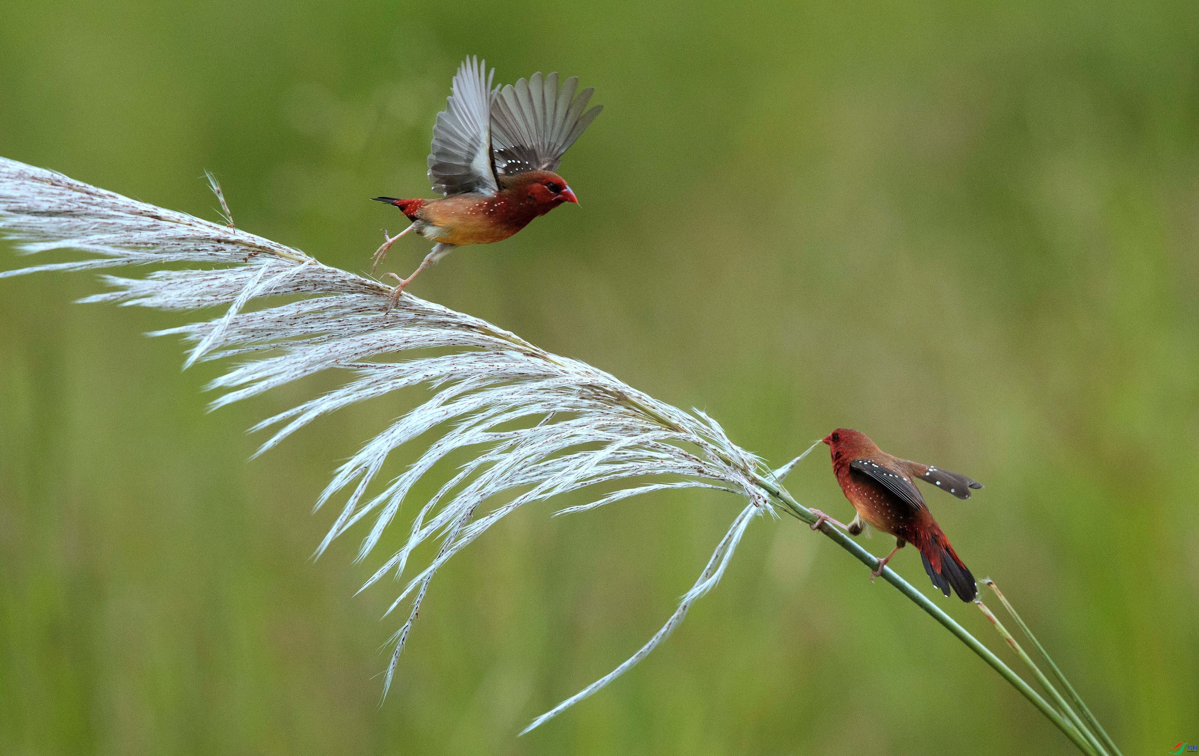 ������  ���� ��Ƭ���  ��һ.jpg