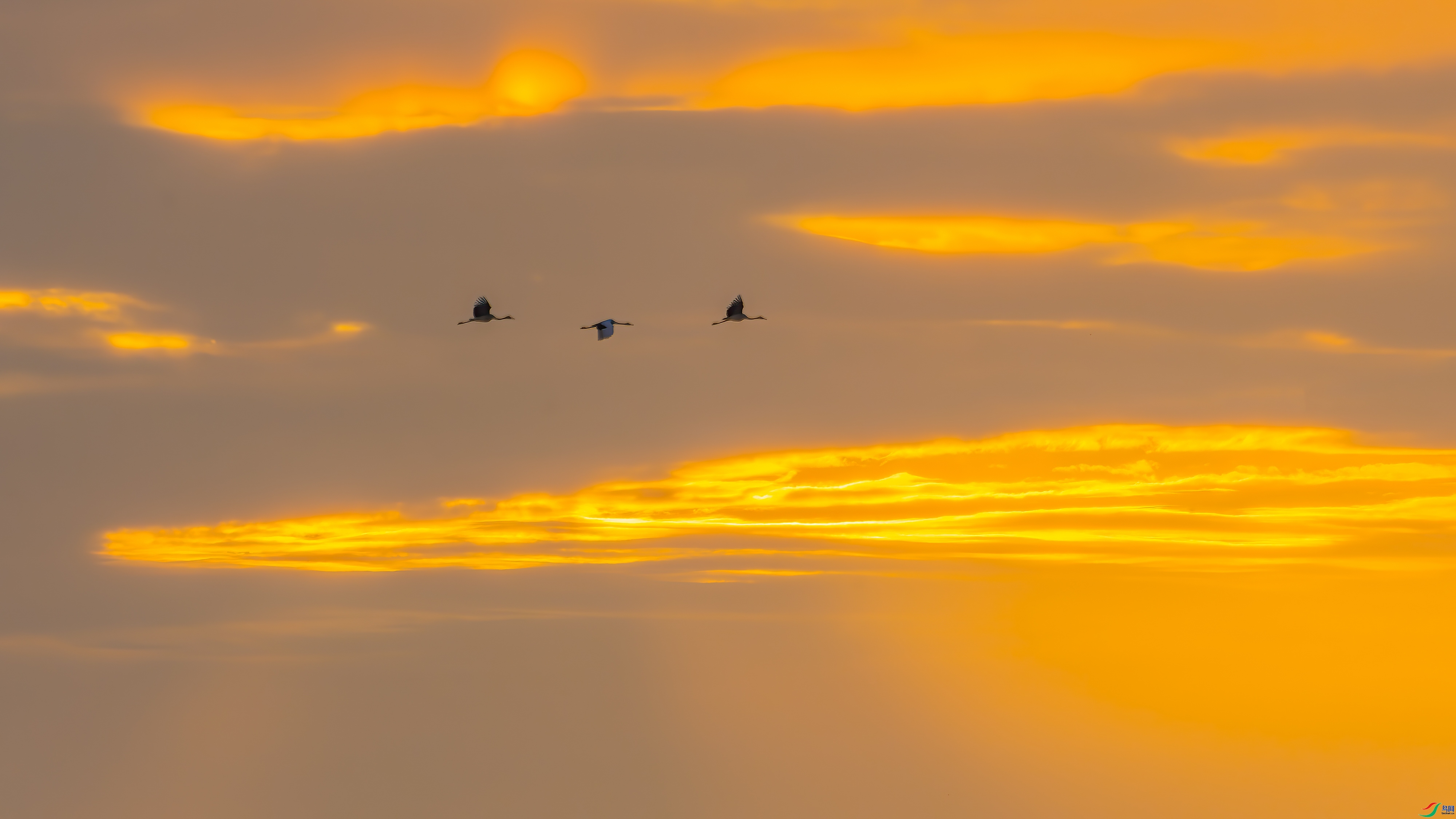 ��ϼ����  ����  ���� ��һ.jpg