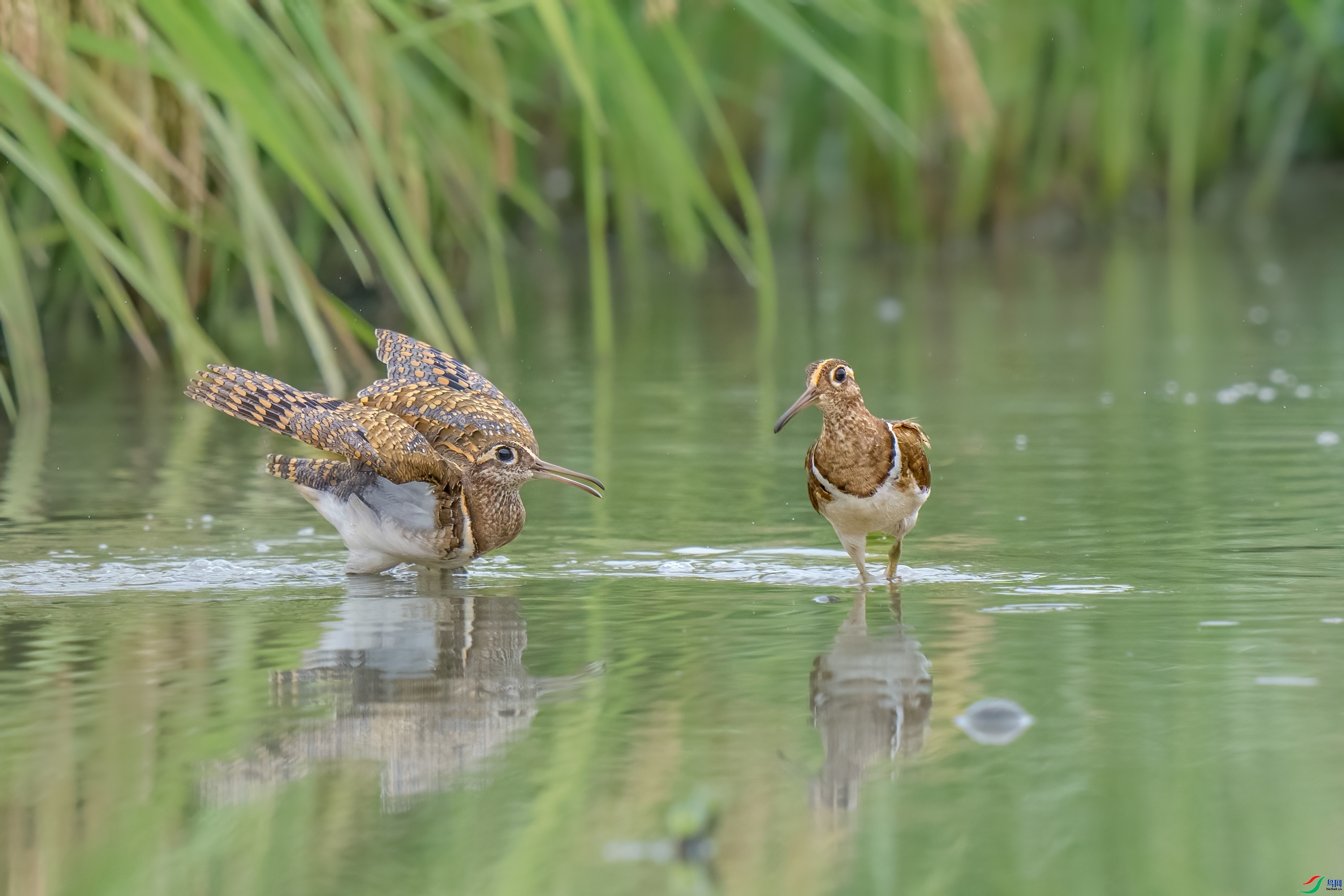 ���� ���� ����  �ܶ�.jpg