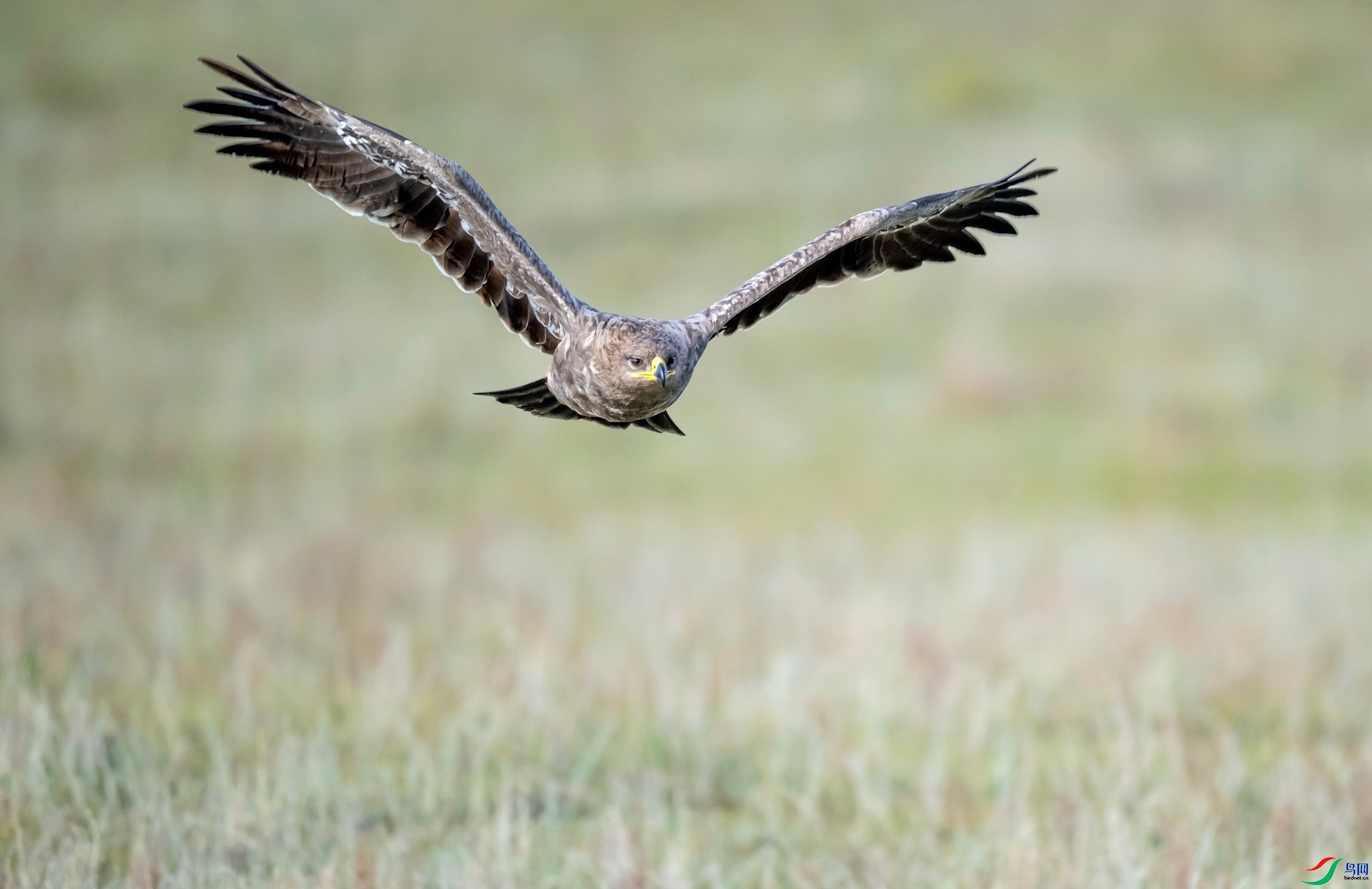 ��ԭ��յİ���  ���� �ܶ�.jpg