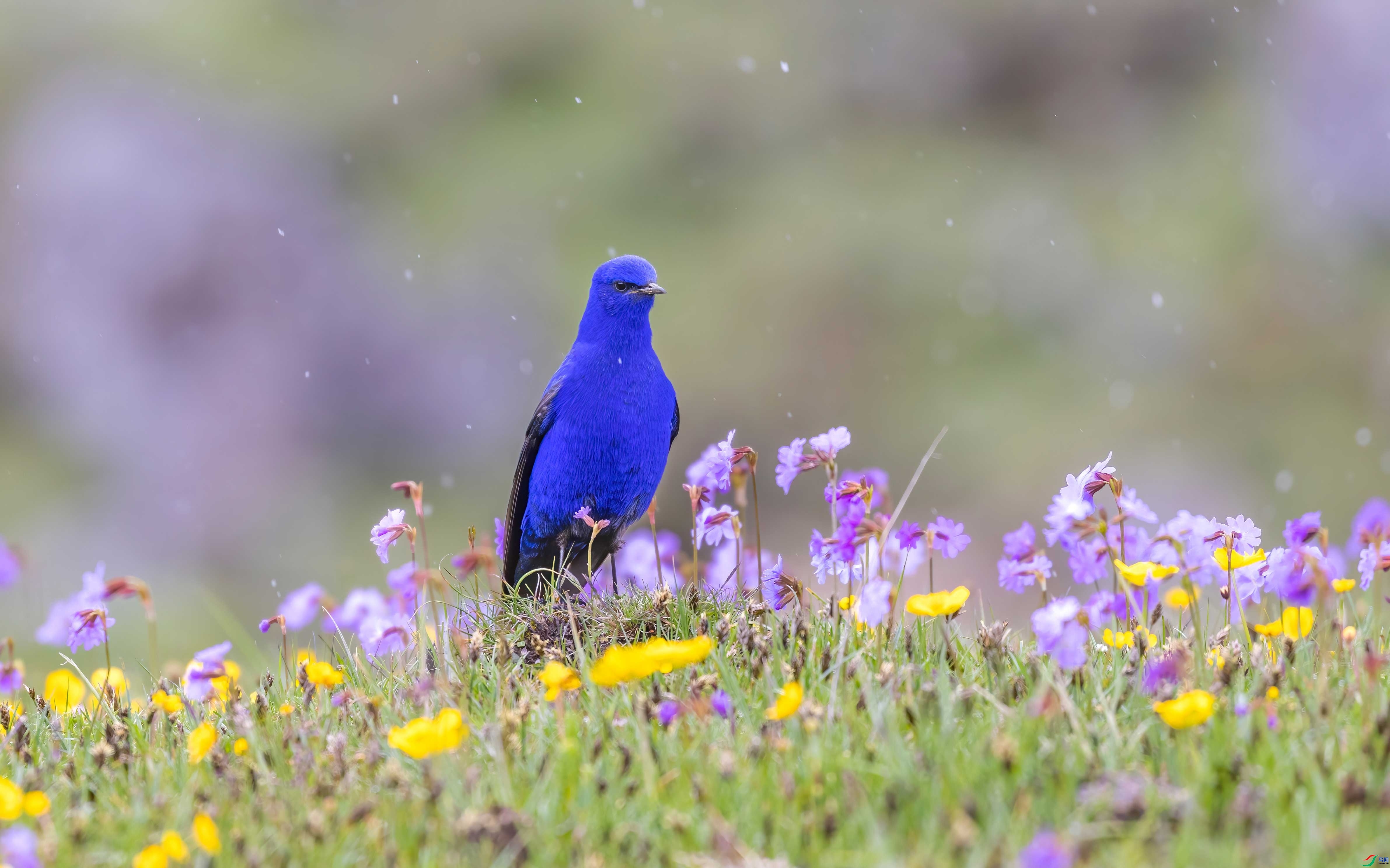 ѩ��Ʈ  ���� �ɶ��Ͻ�.jpg