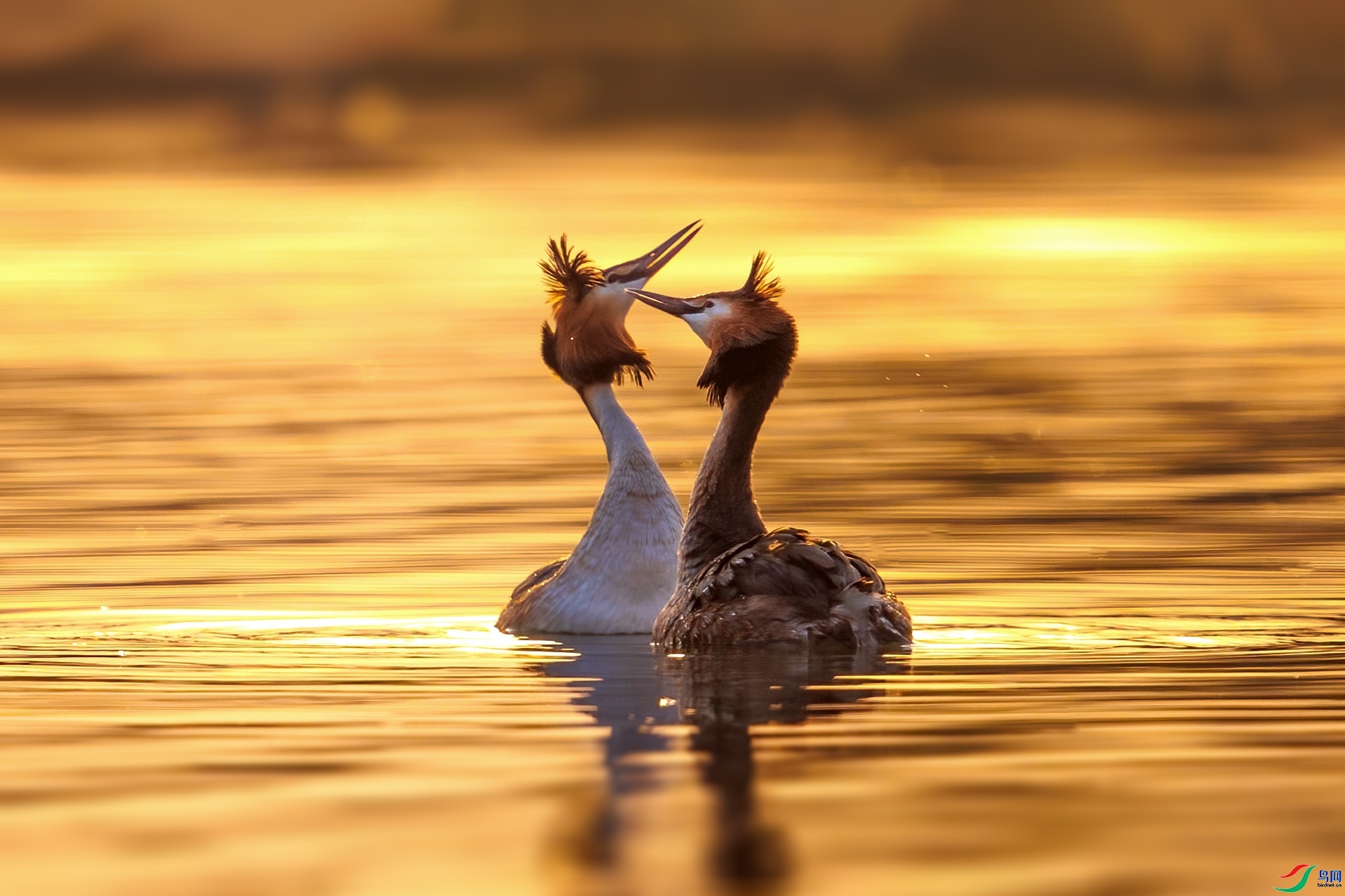 �峿�廪  ���� ����.jpg