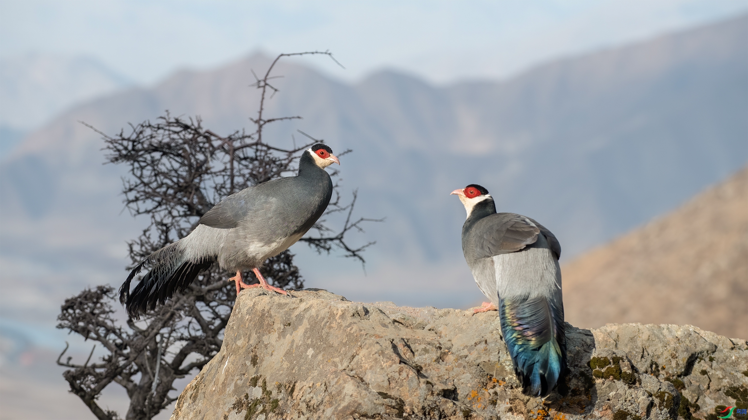 ������ ���� ��Ͽ֮�� ����.jpg