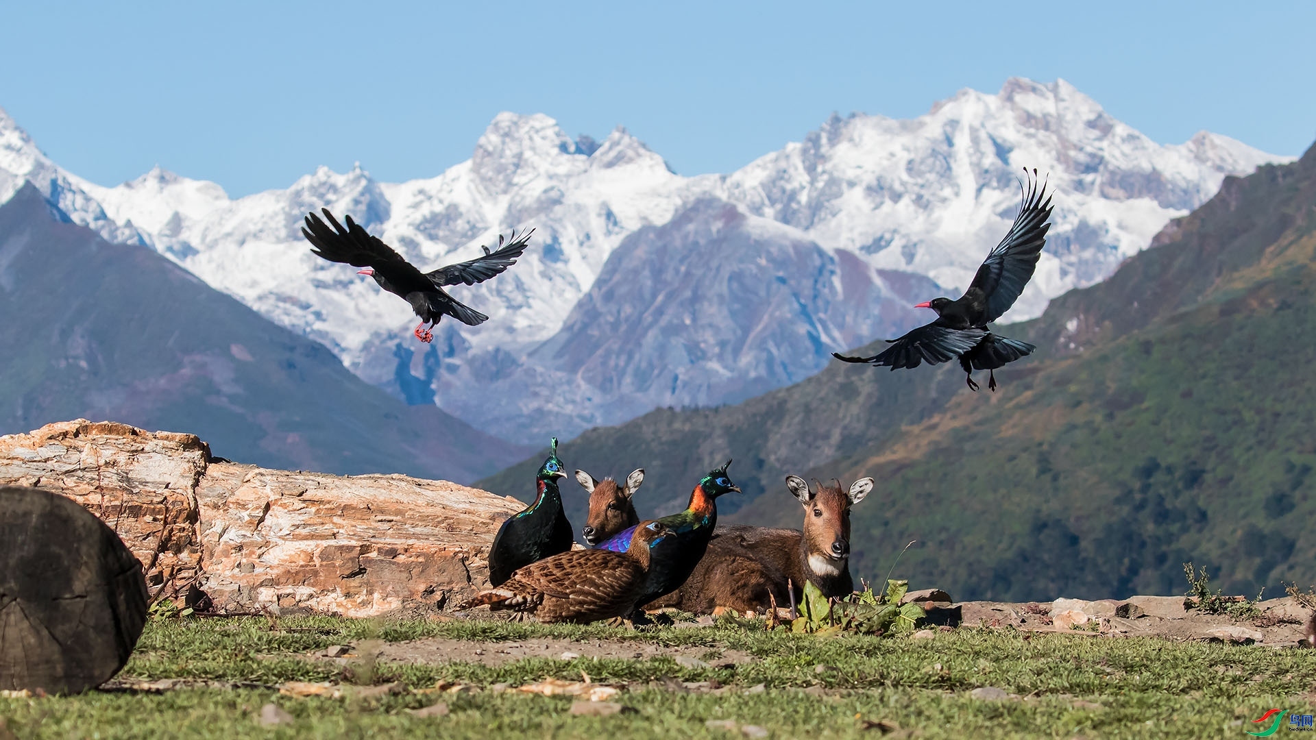 ͬ��������  ���� ɽɽɽ ����.jpg