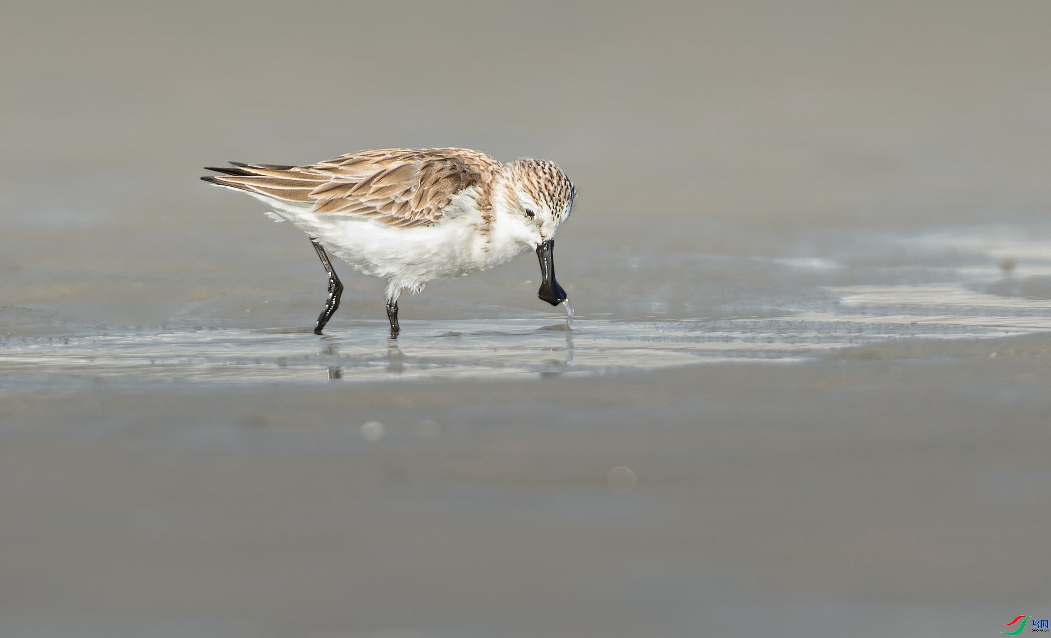 ѰѰ����  ���� ���� ����.jpg