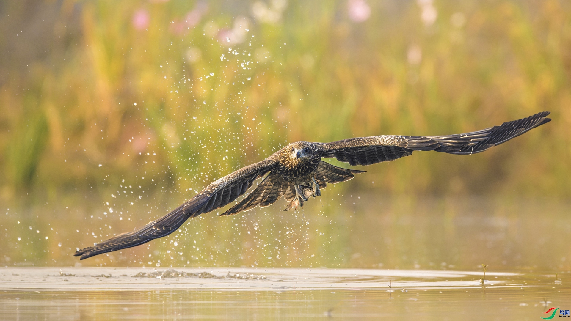 ����糿 ���� ��������1  ����.jpg