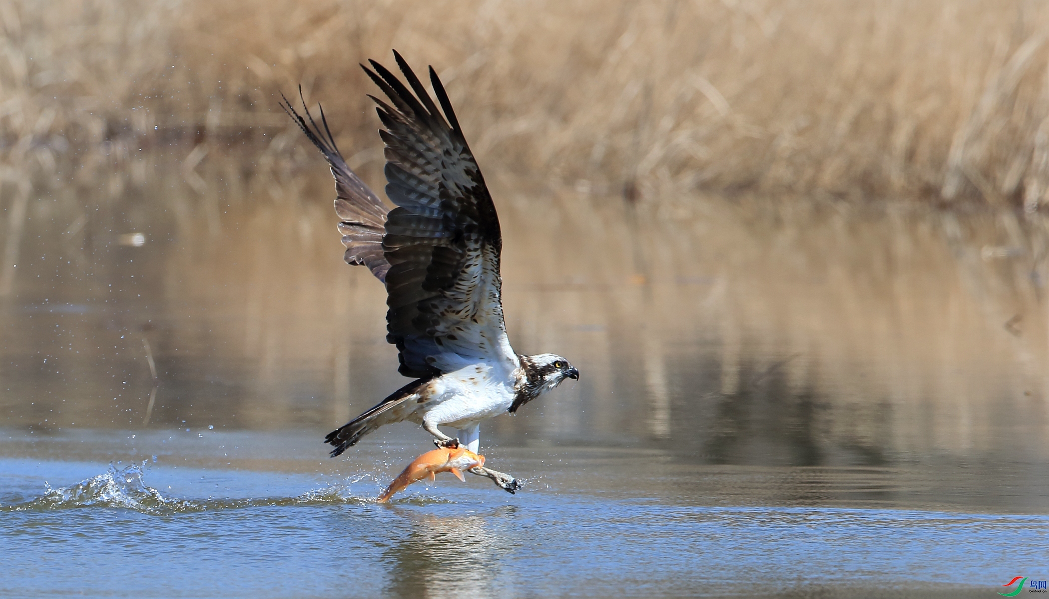 ����  ���� ��ǲ ����.jpg