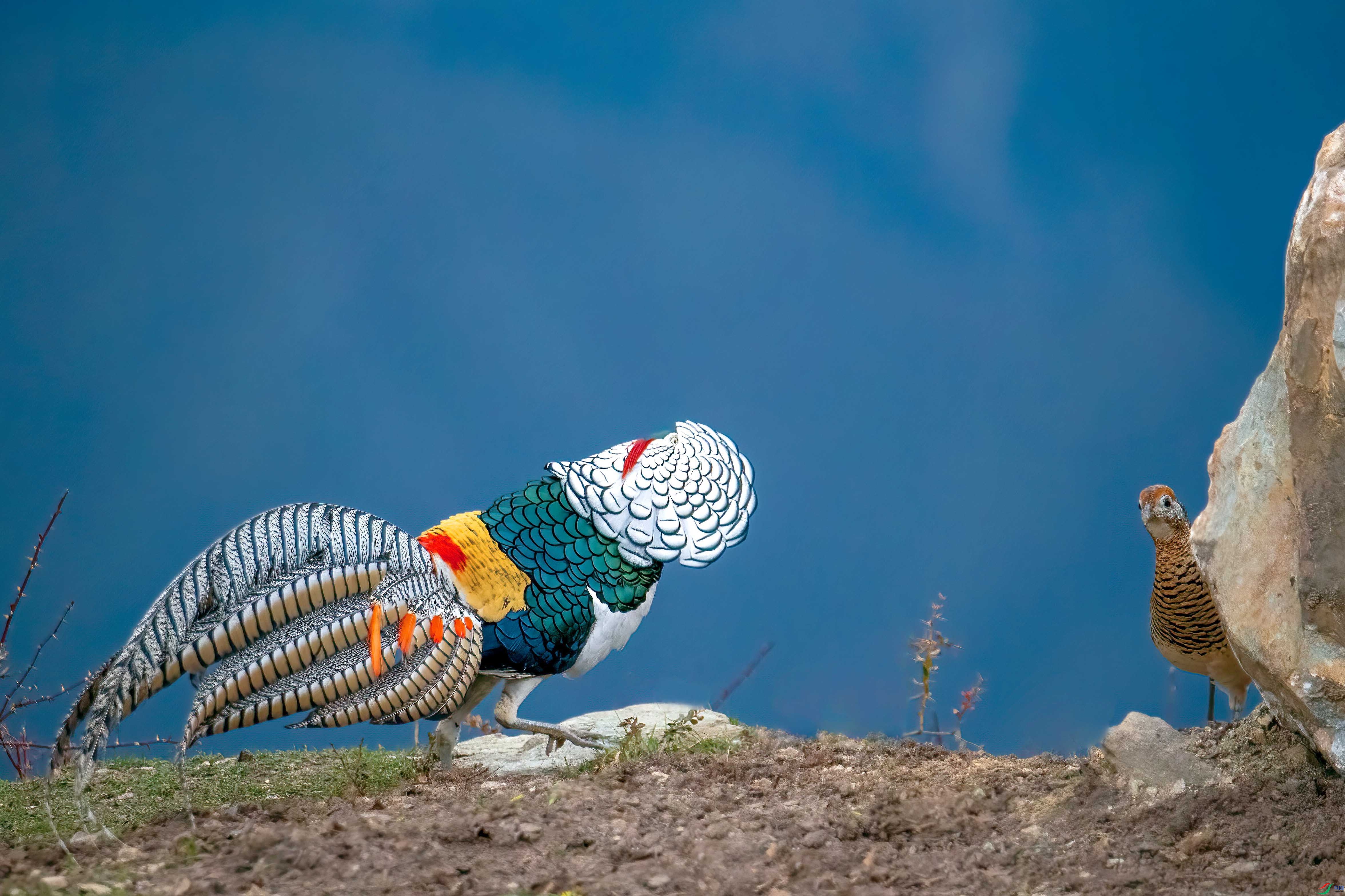 A45I6032 ���� 2.jpg