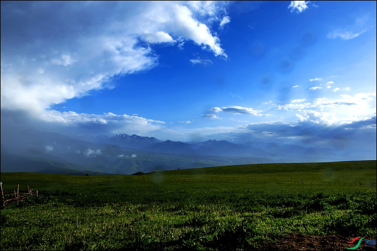 B56T9847-1.jpg