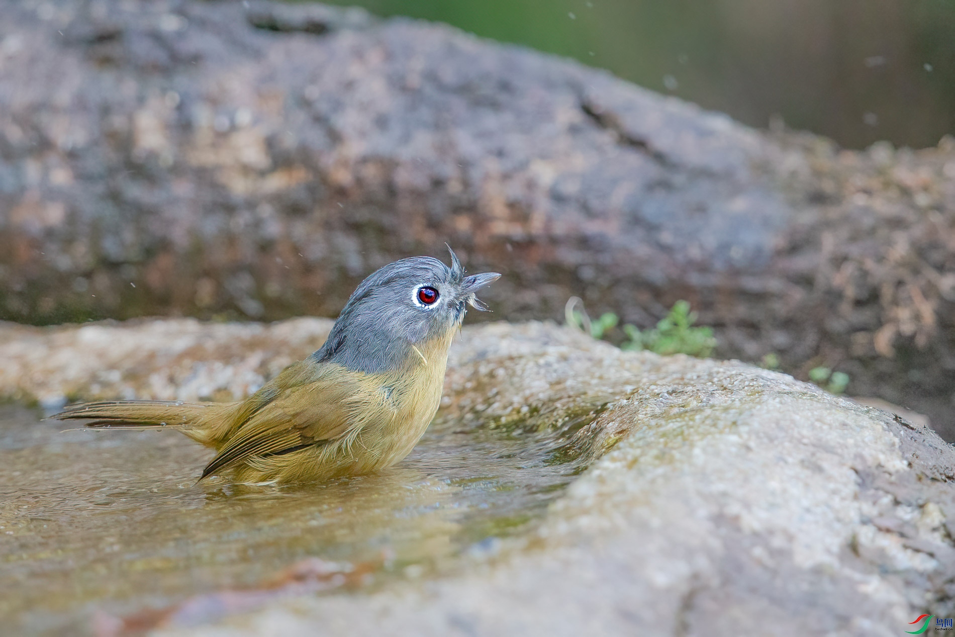 a_57202-1.jpg