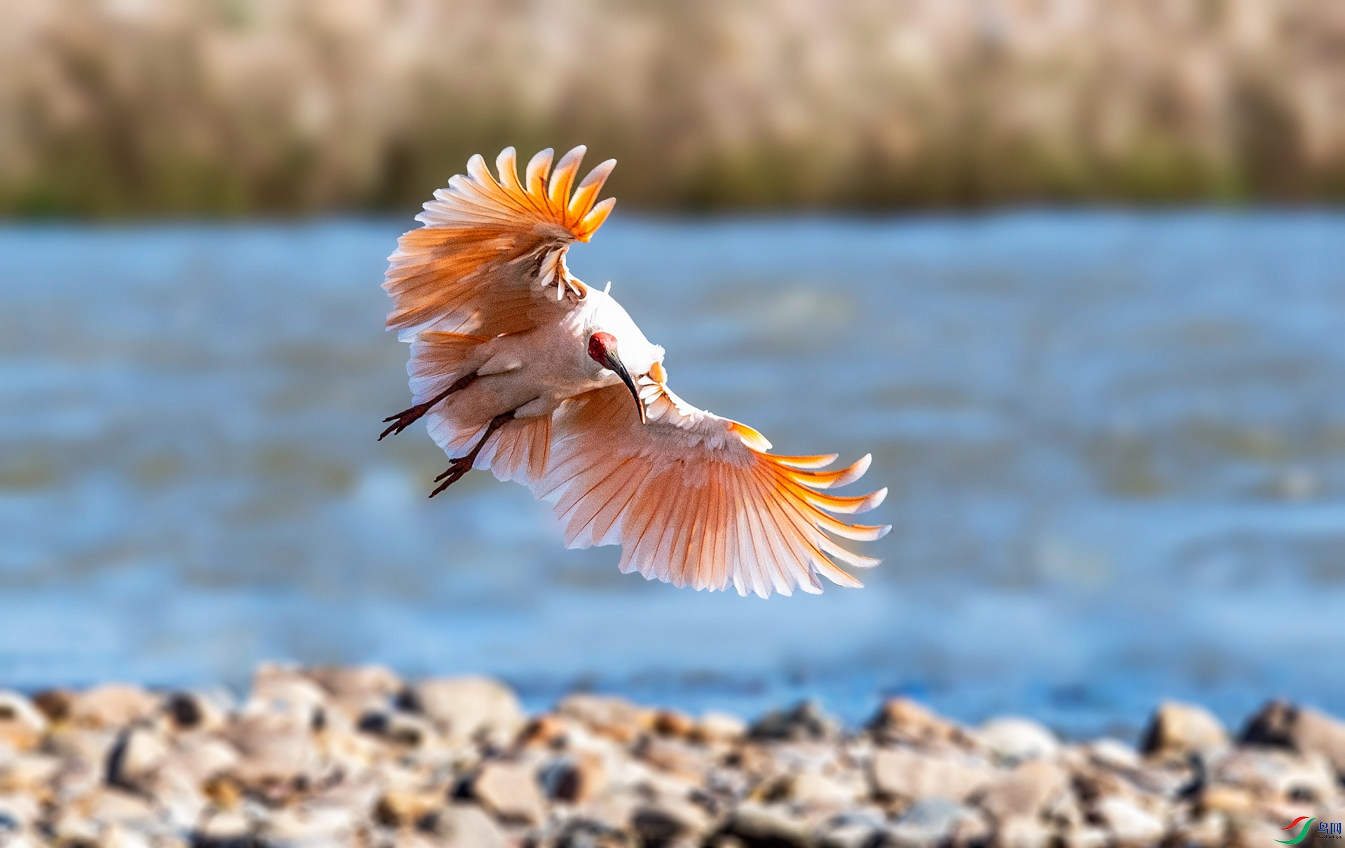 DSC_8849 ����_����.jpg