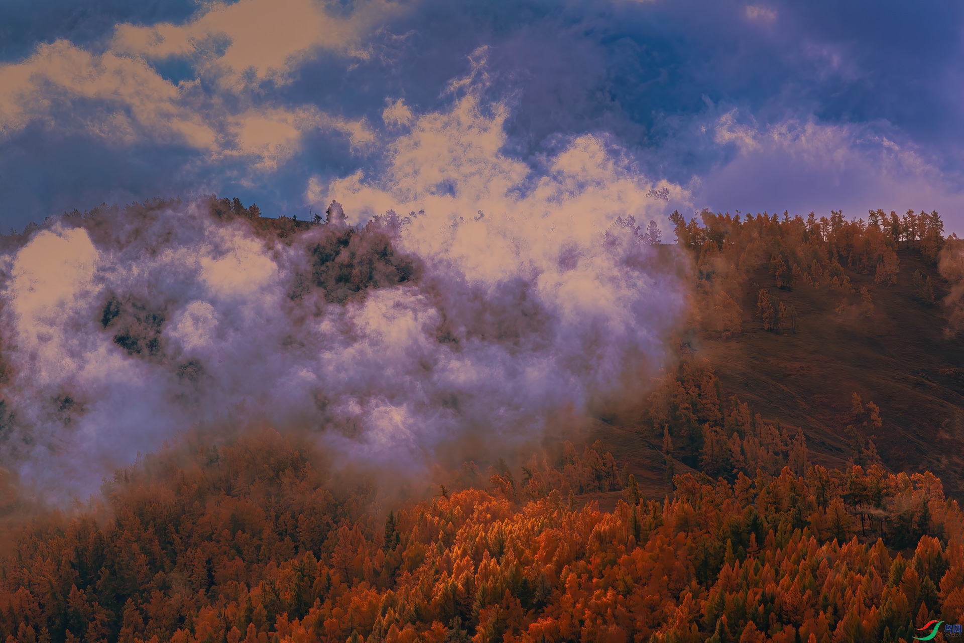 _60I0547-----1-7.jpg