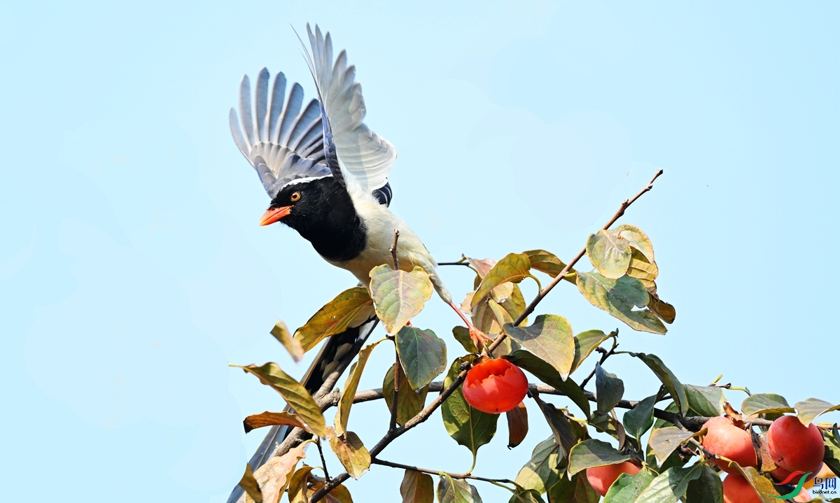 DSC_3965.JPG