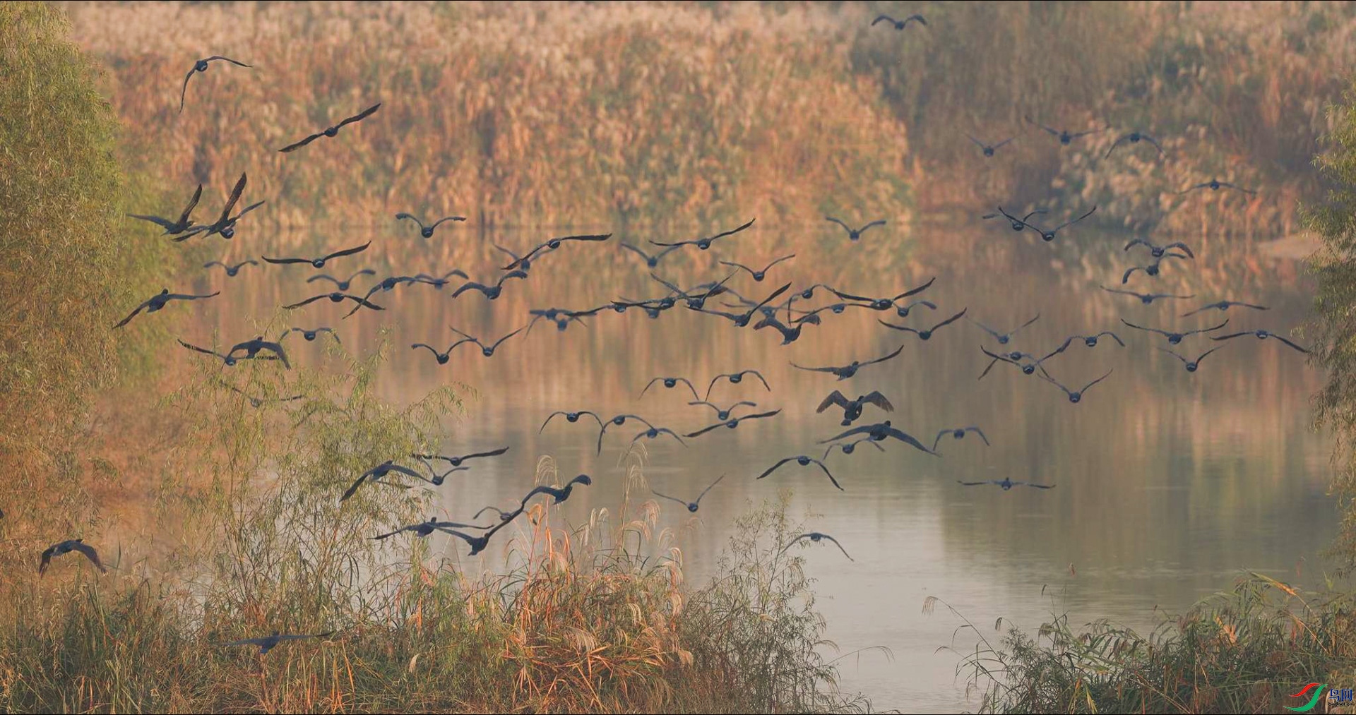 10��23�� (1)-����.JPG