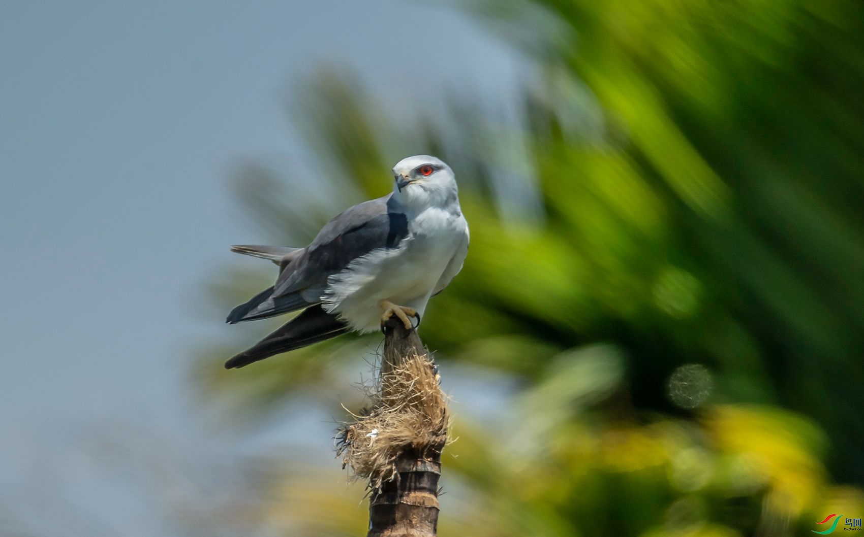 DSC_0411.jpg