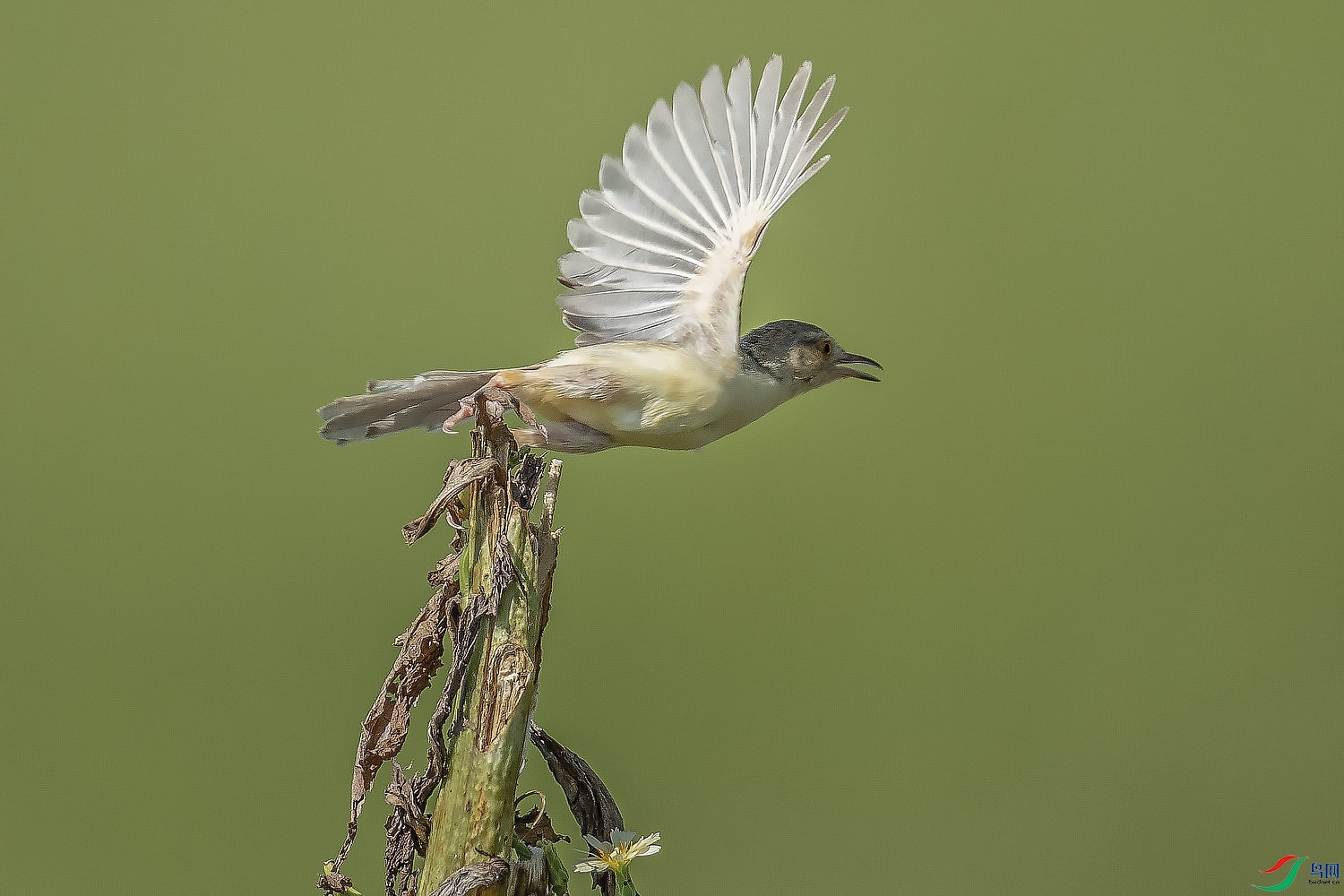 DSC_6740.jpg