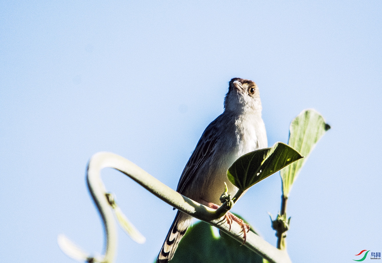 DSC_3582.jpg