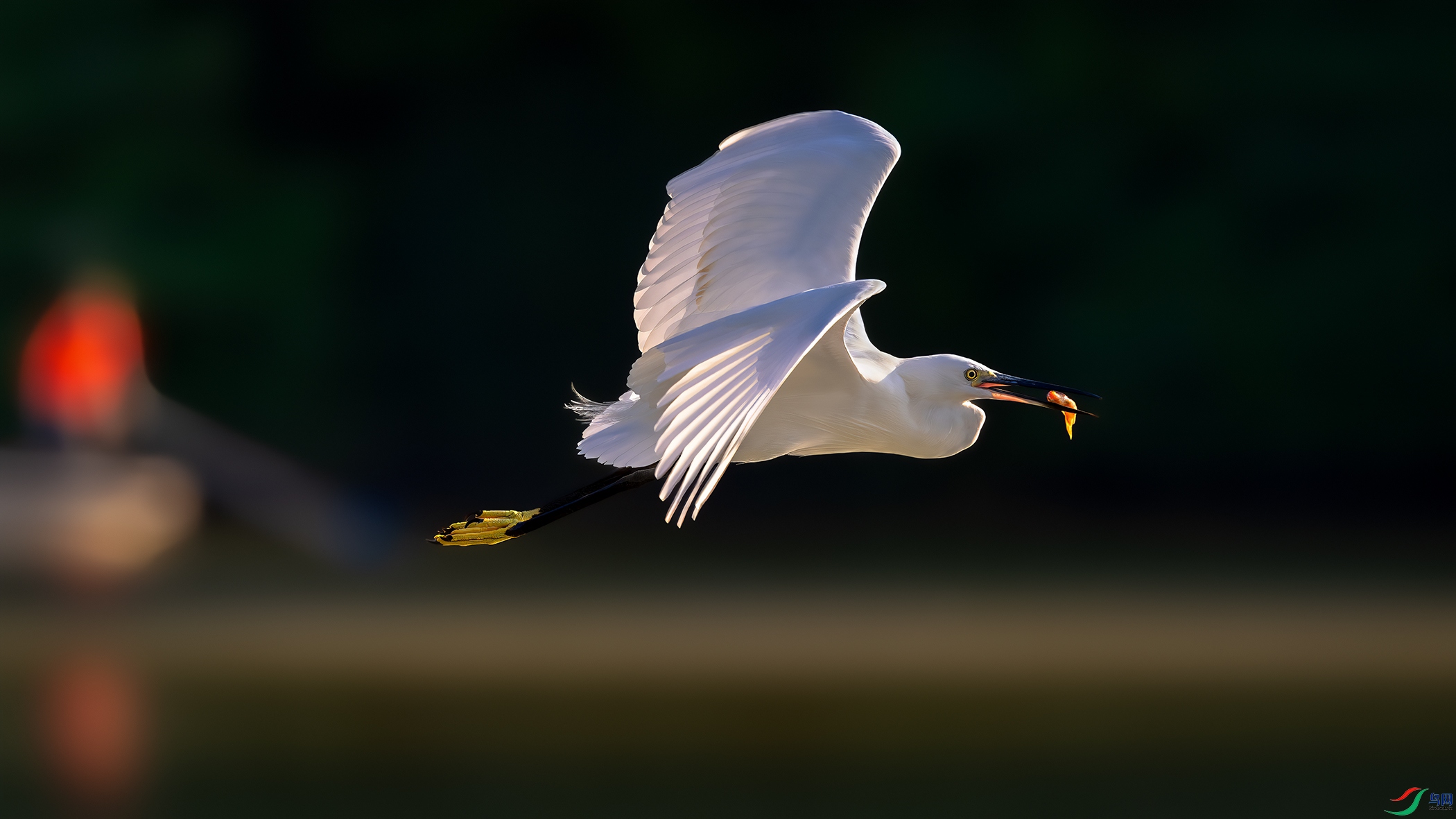 DSC_2141-����ǿ-NR ����.jpg