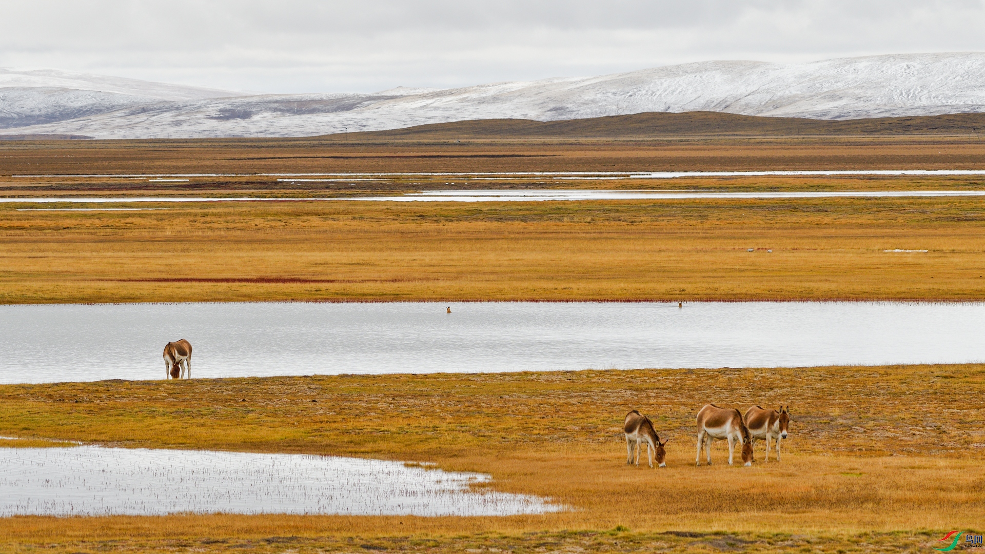 _DSC7694_����.jpg