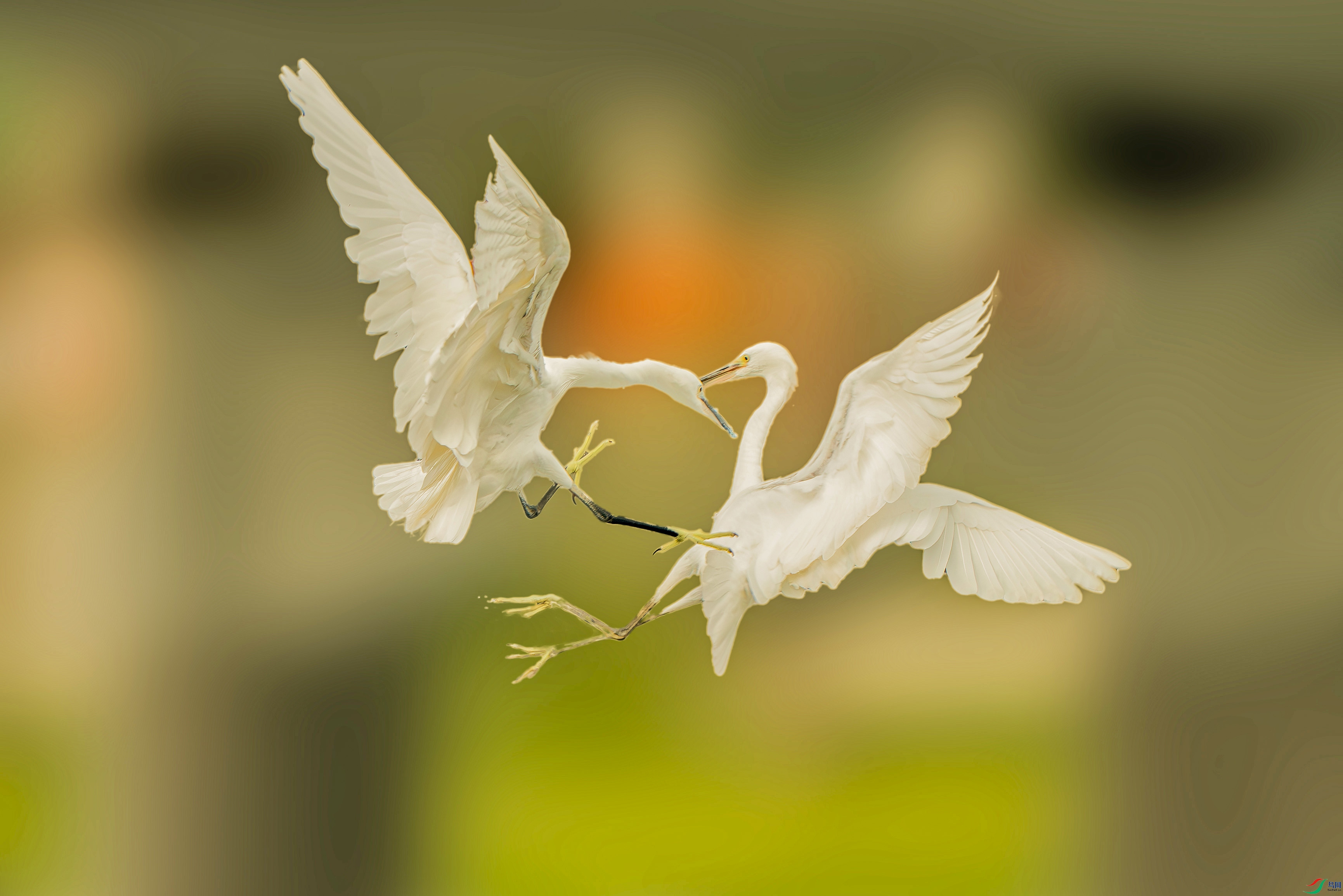 DSC06764-����ǿ-NR ���� 2.jpg