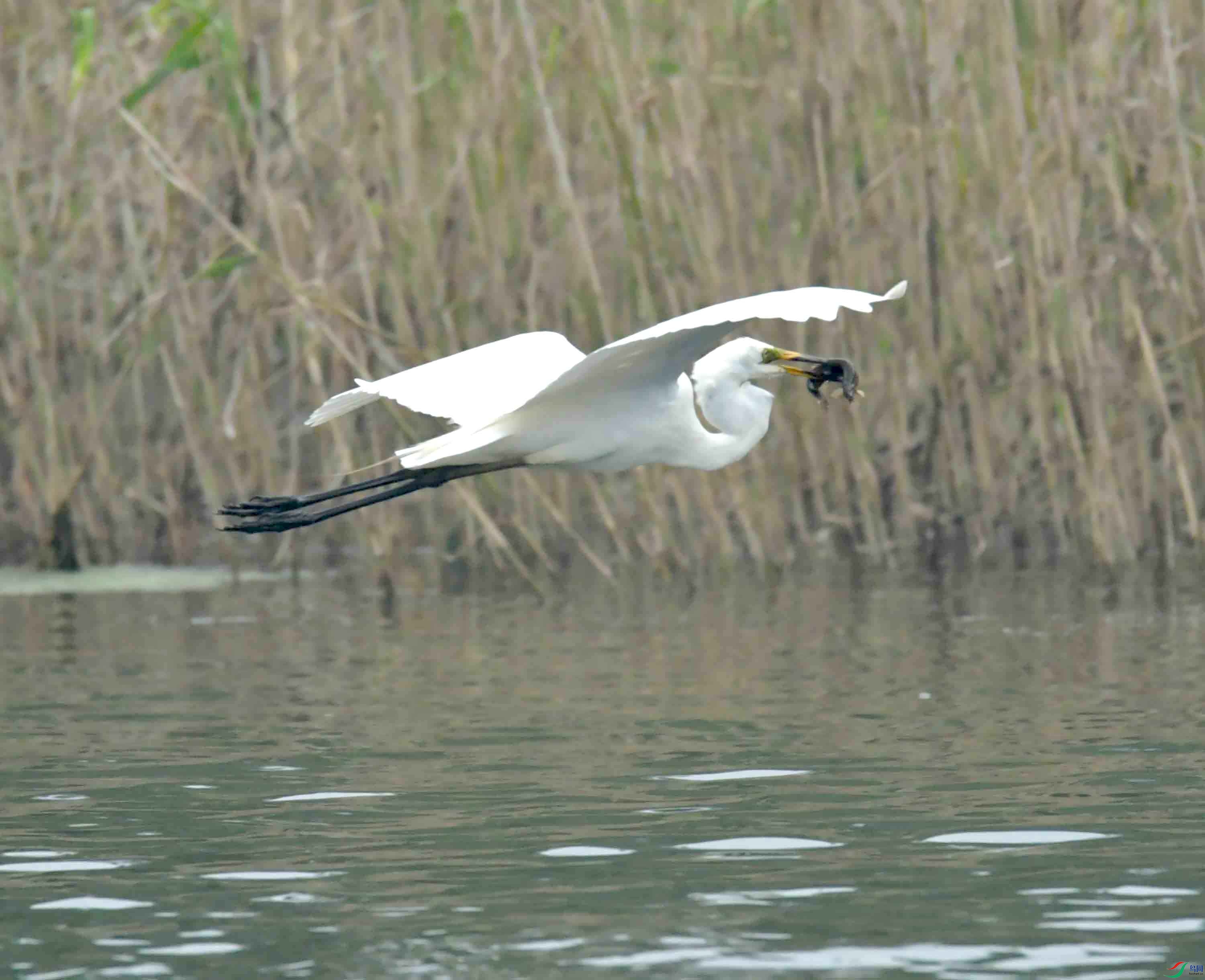 DSC_8944.JPG