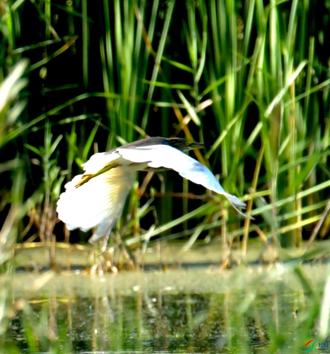 DSC_9830.JPG