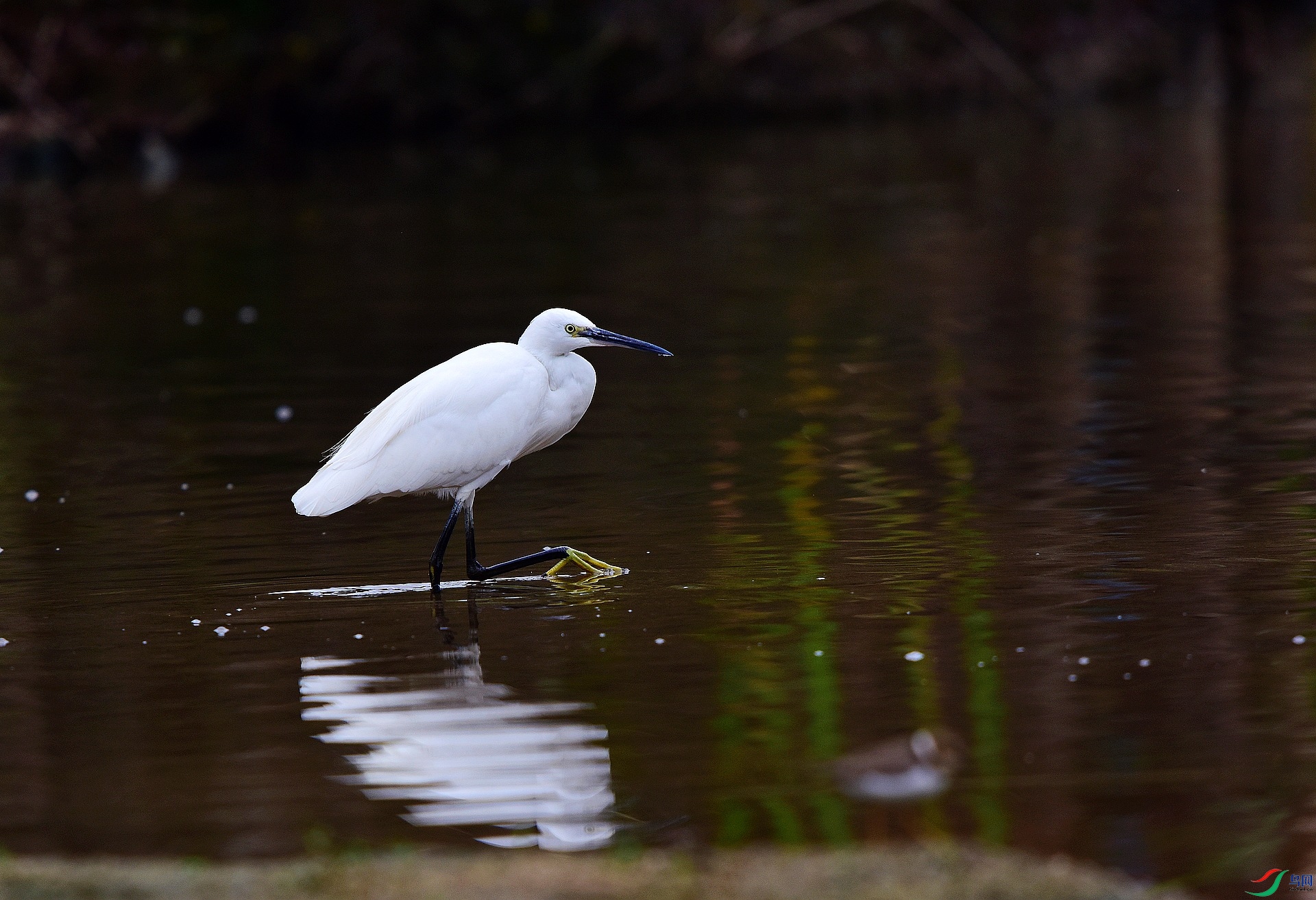 D8I_0540.jpg