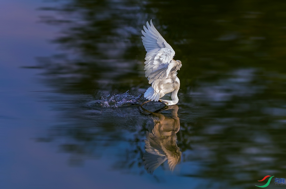 ���ز���