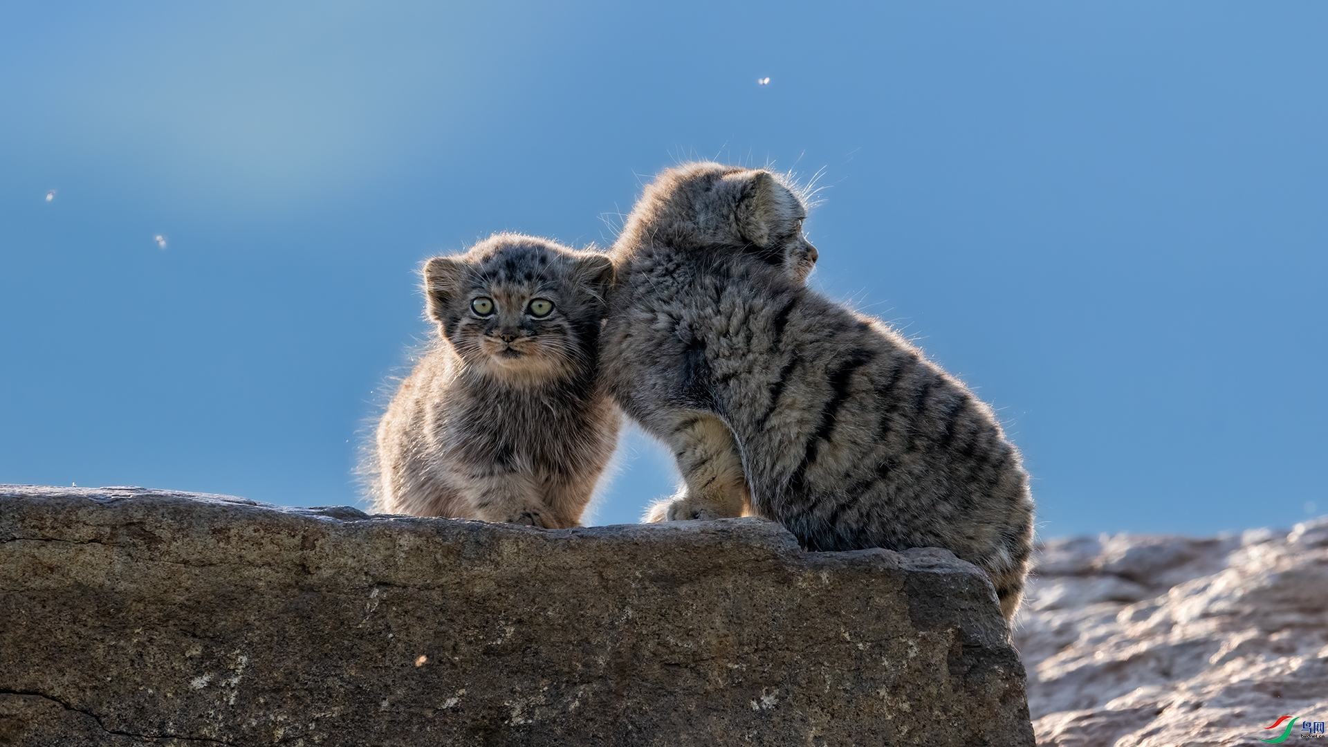 DSC_1787.jpg