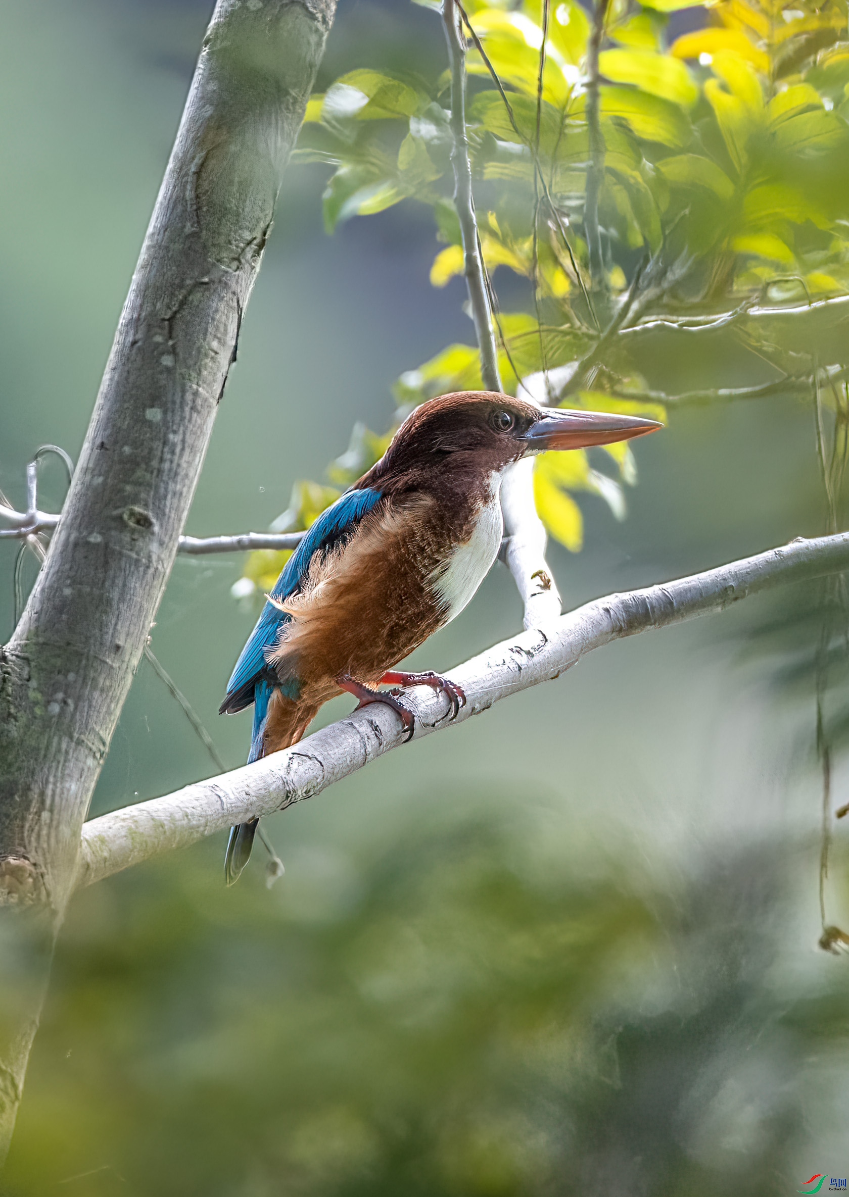 �������