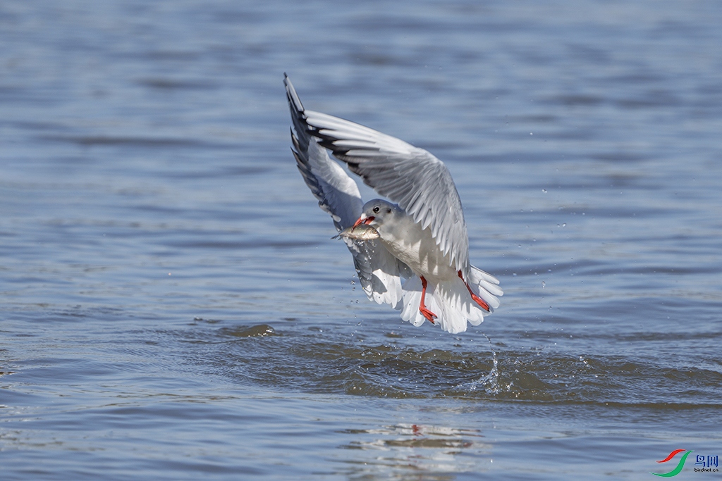 DSC090402 ����.jpg