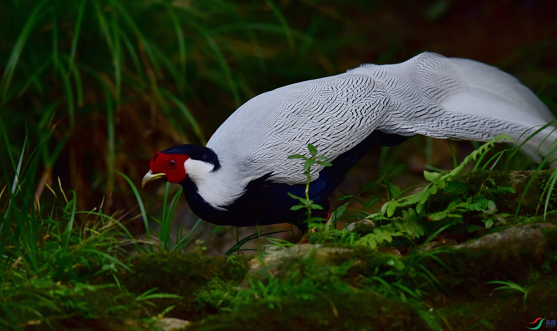 D8I_2350.jpg