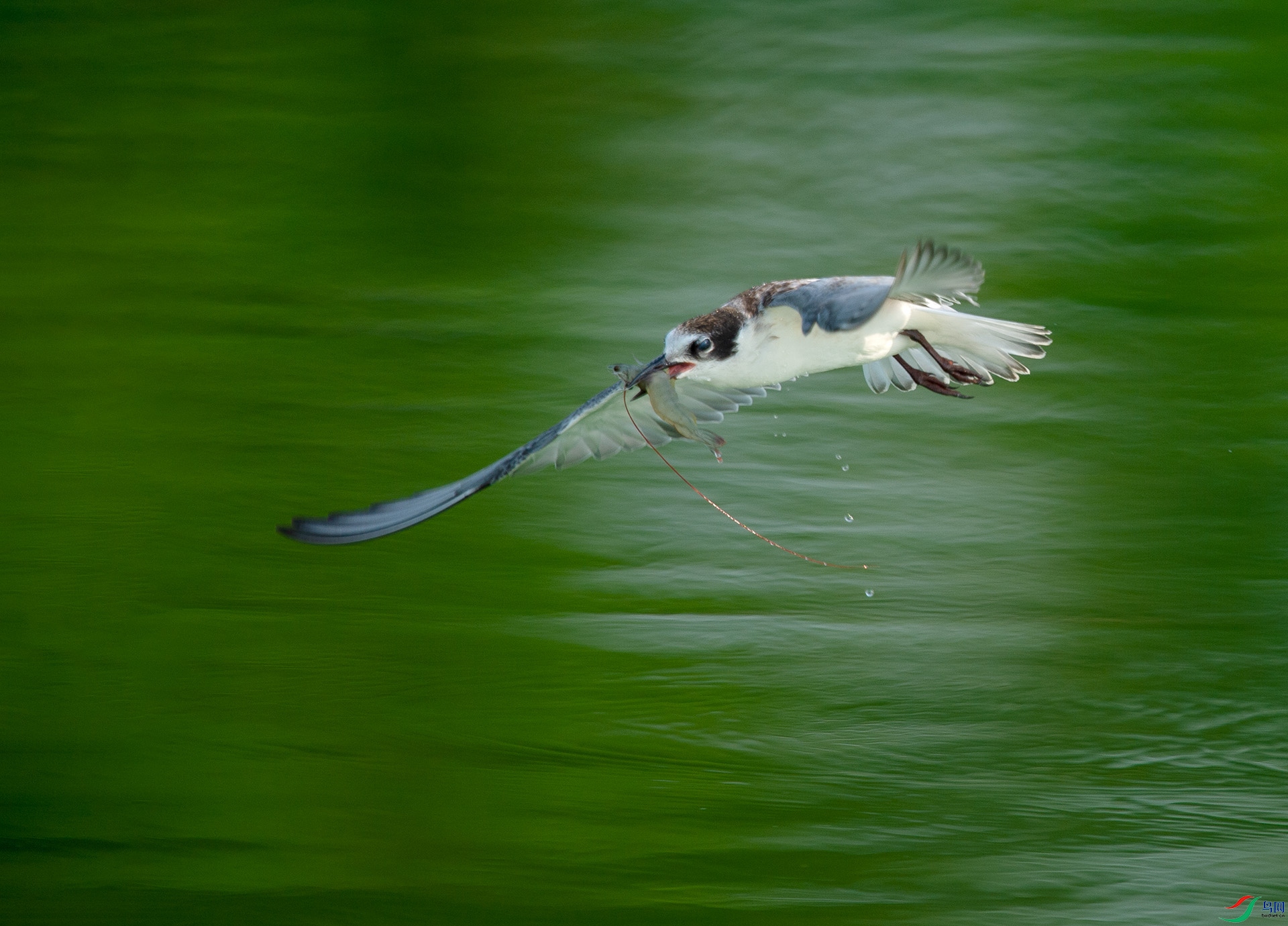 ��DSC_3431.jpg