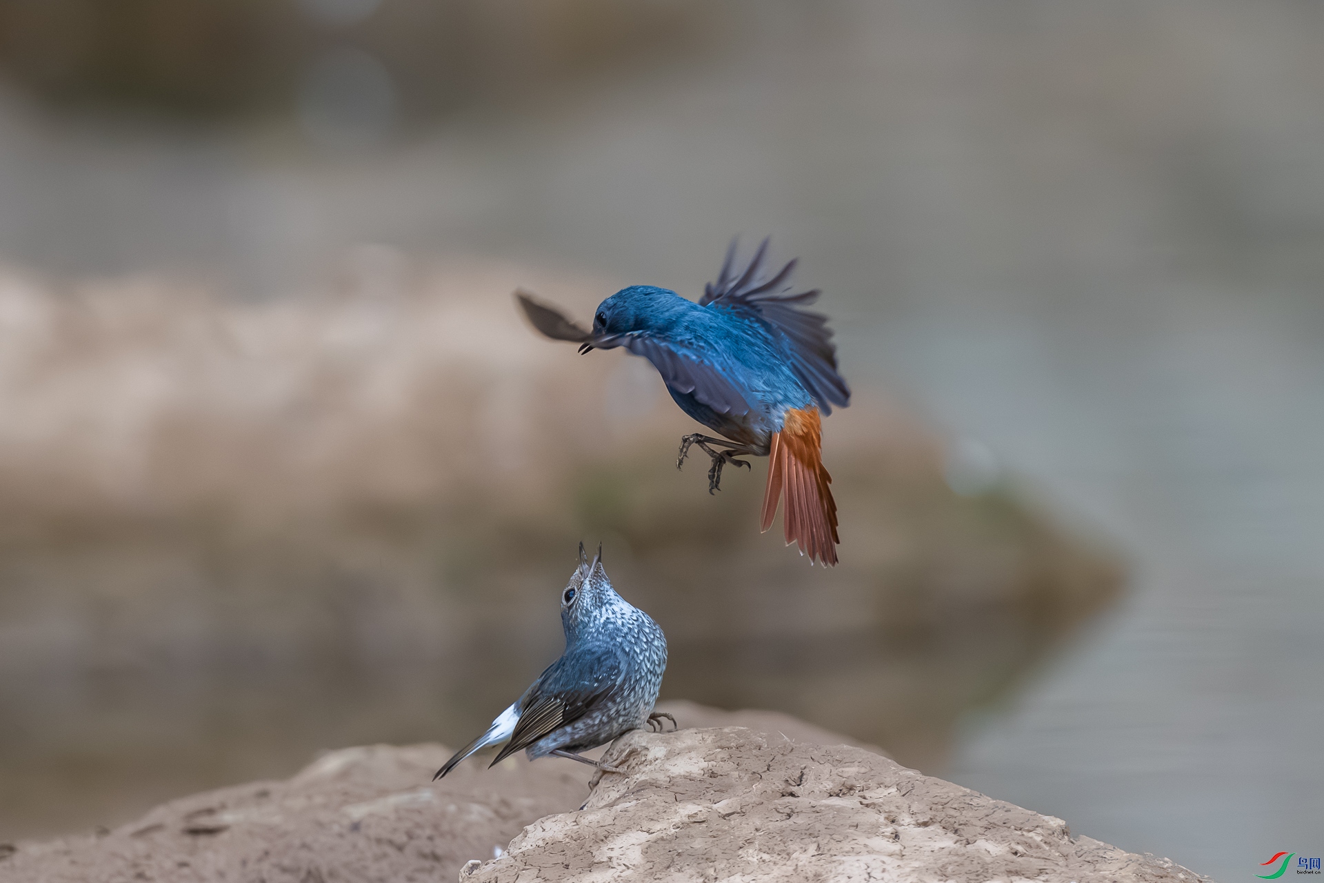 b5.jpg
