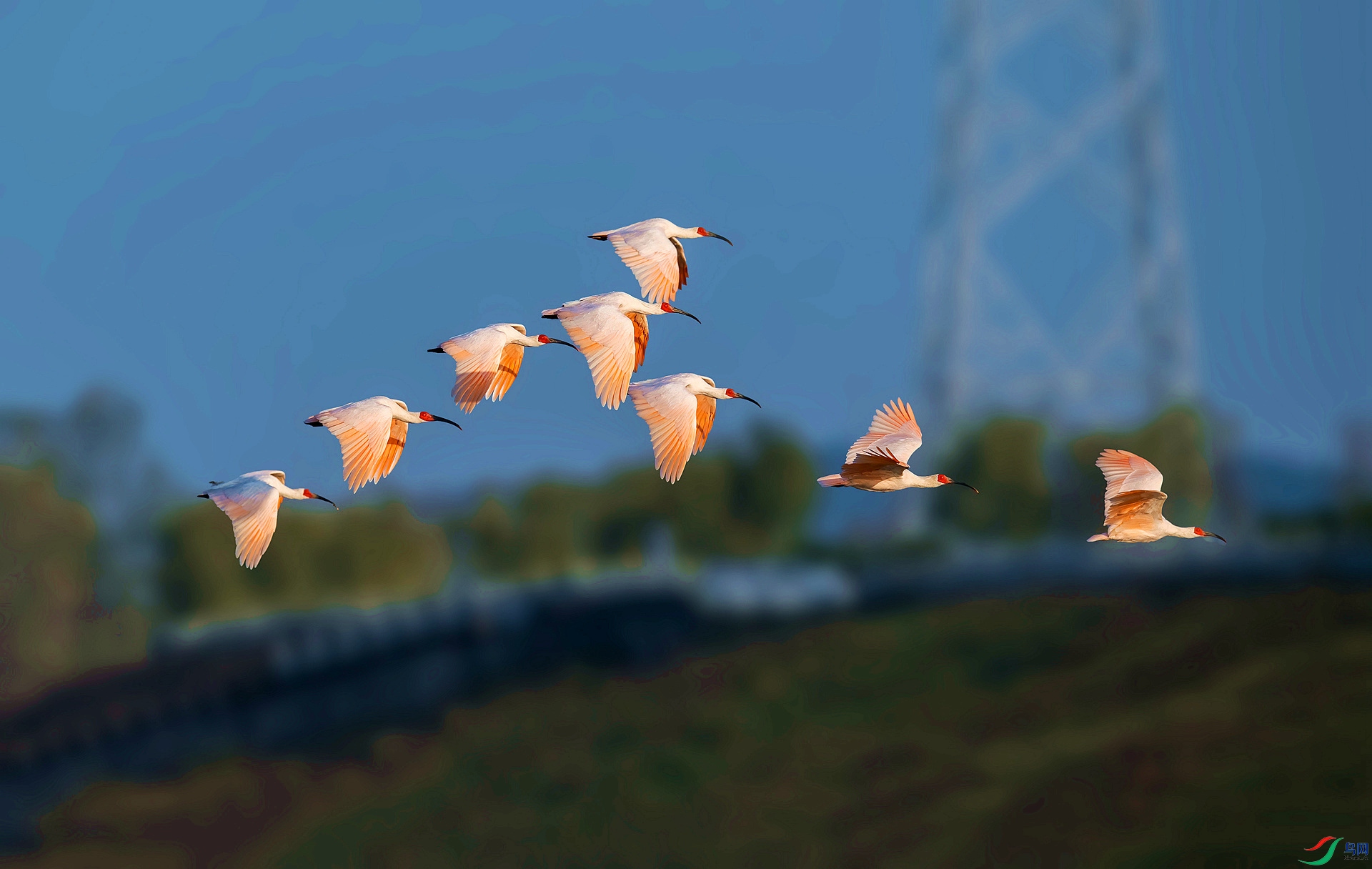 DSC_9997 ����_����_����.jpg